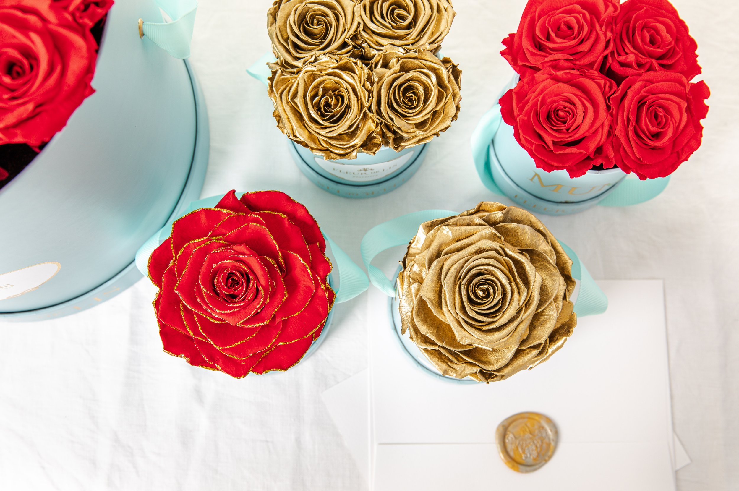 FleurDeLis_Shoot_2_jbelnick_-77.jpg