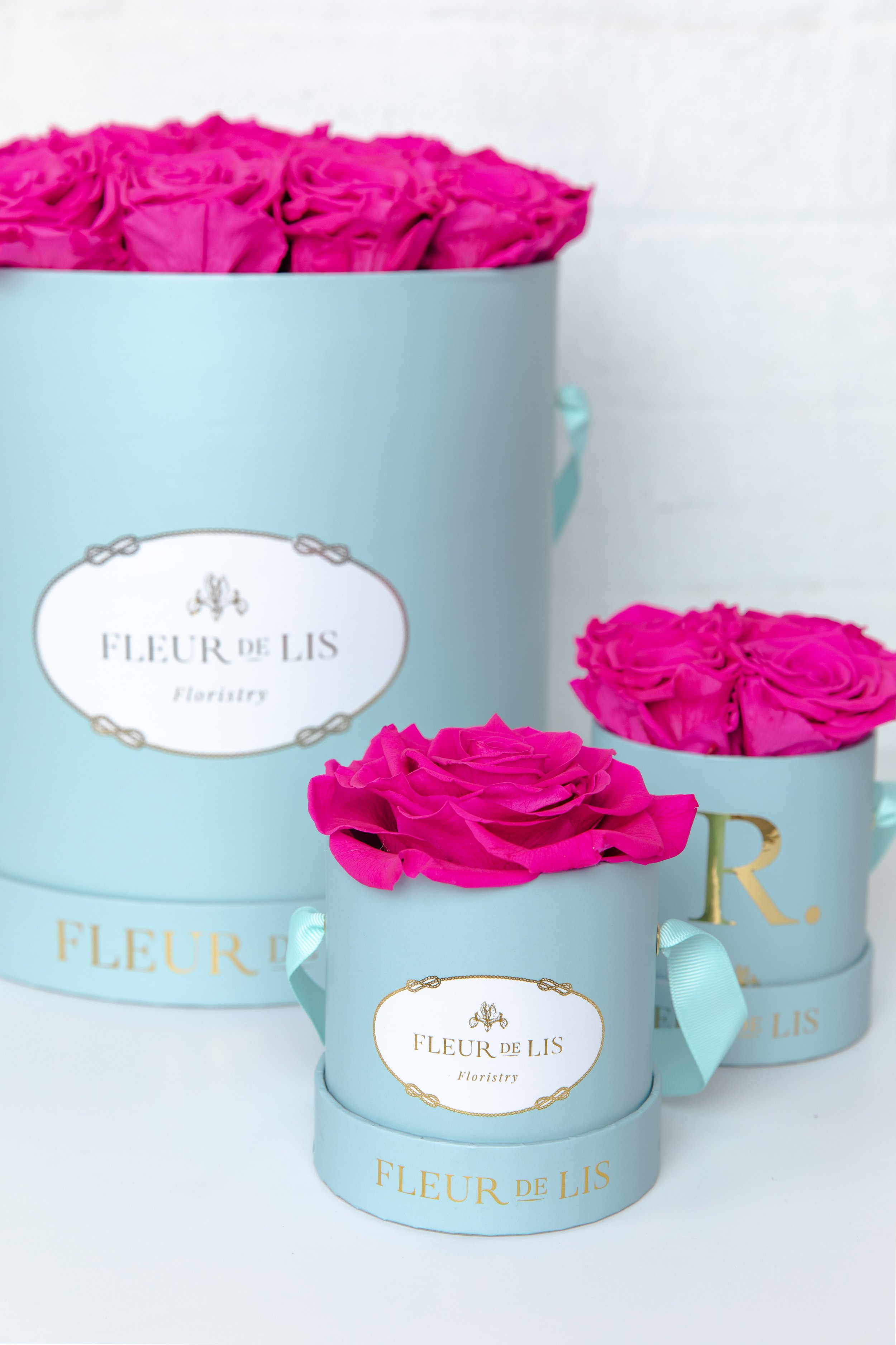 JBelnick_FleurDiLis_Feb20'-2.jpg
