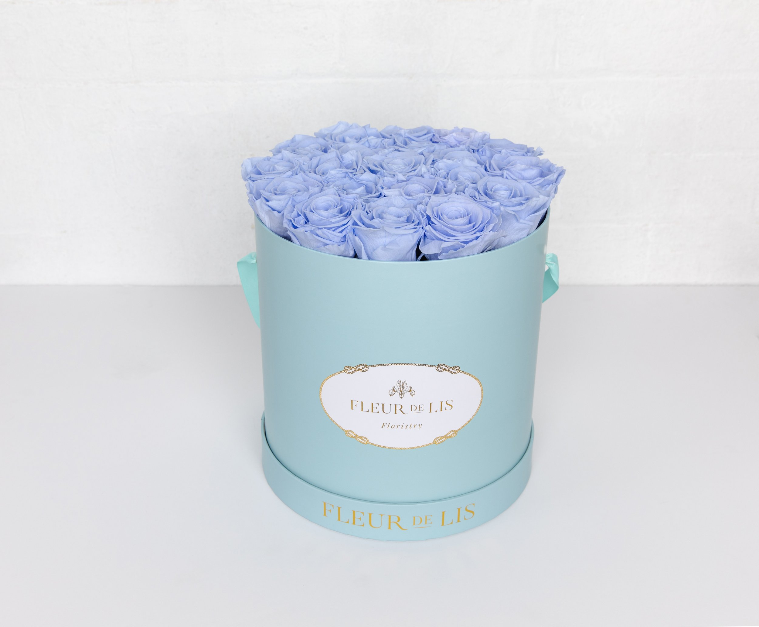 JBelnick_FleurDiLis_Feb20'-18.jpg