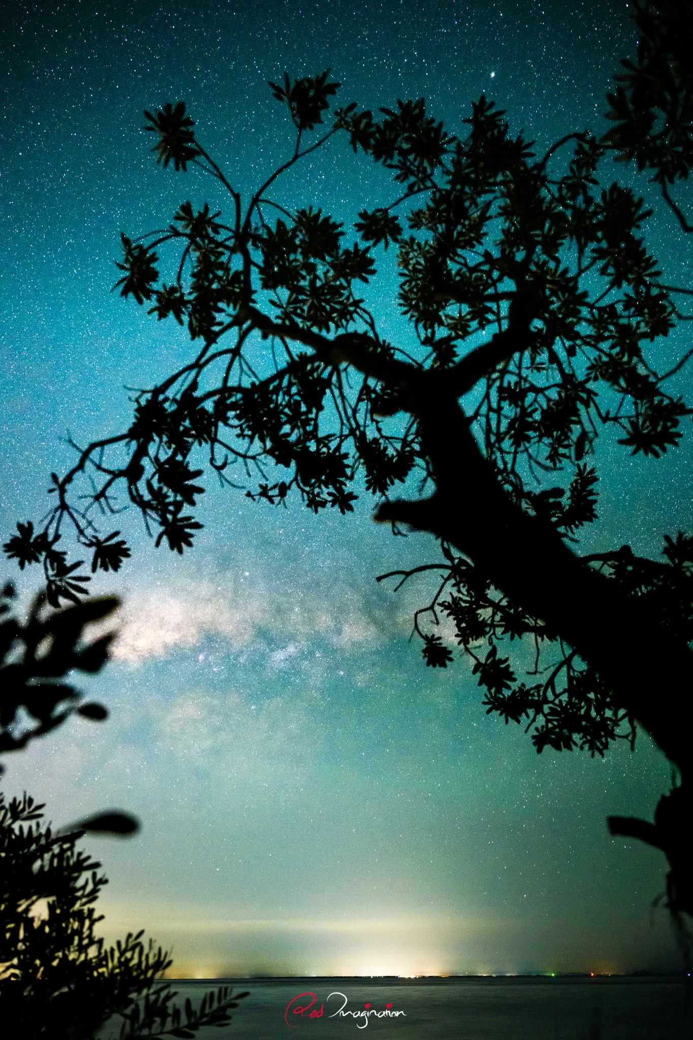 Z9D_2220.jpg