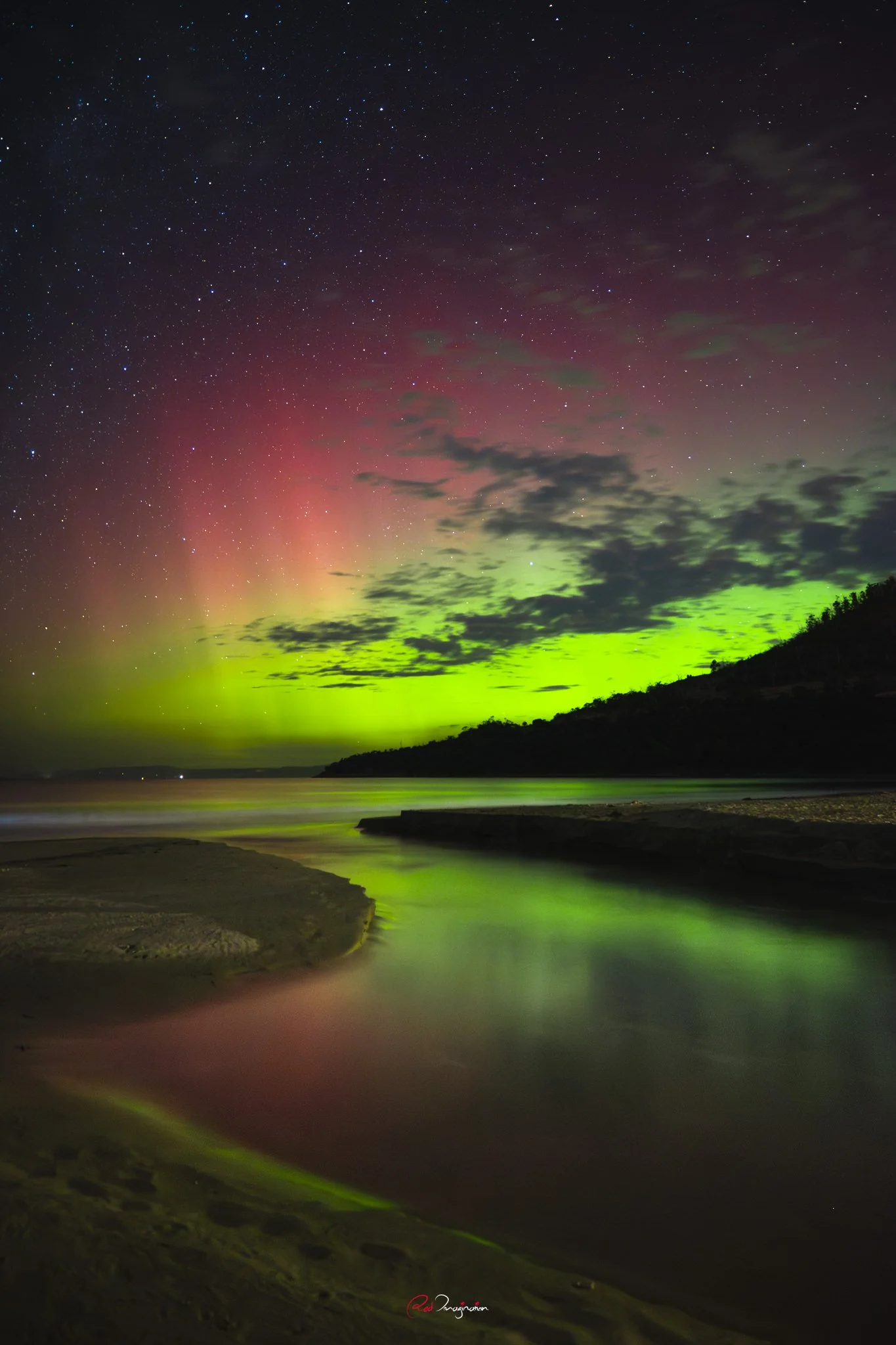 DSC_6226-Enhanced-NR.jpg