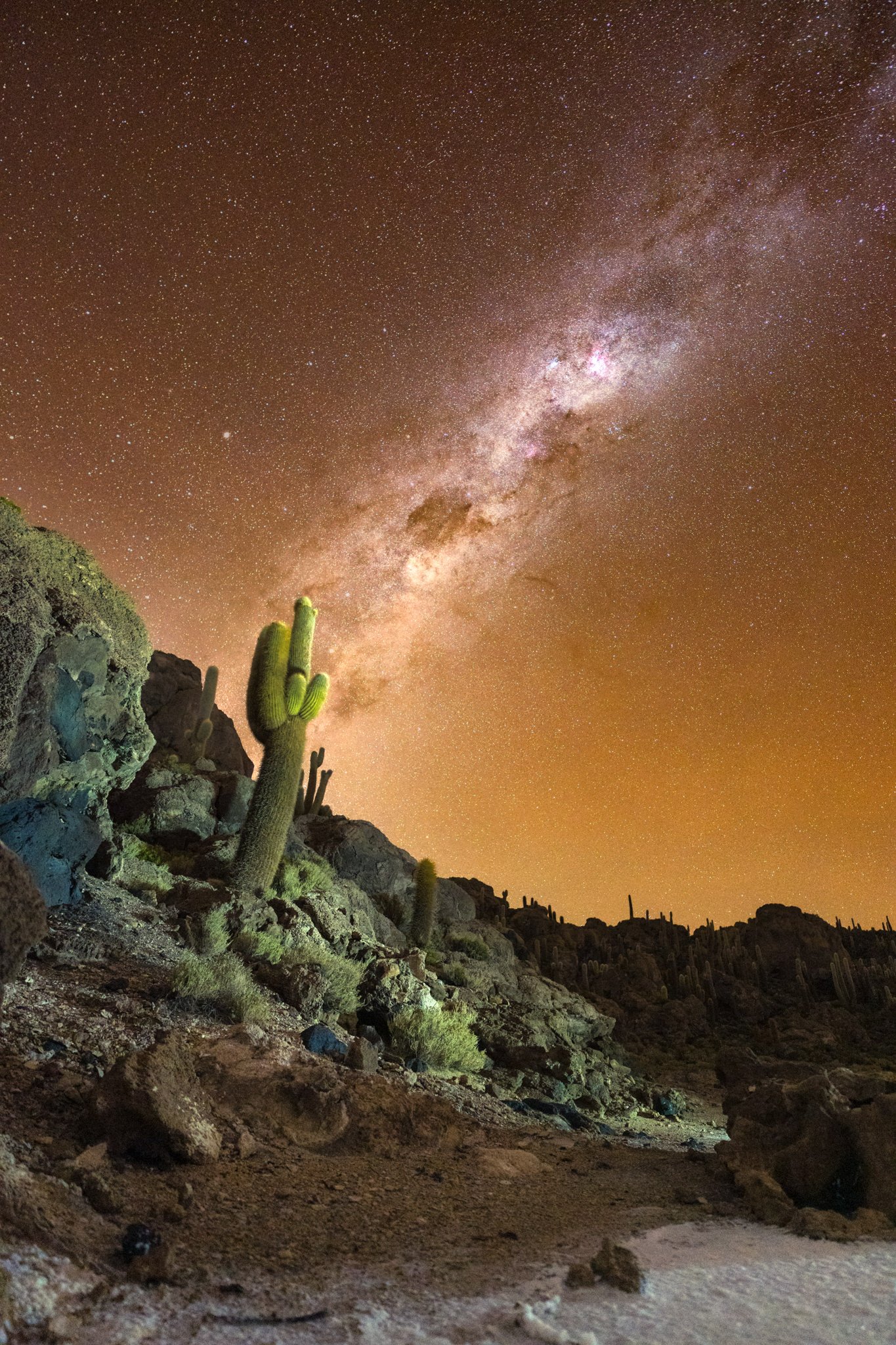 Z63_2082-Edit.jpg