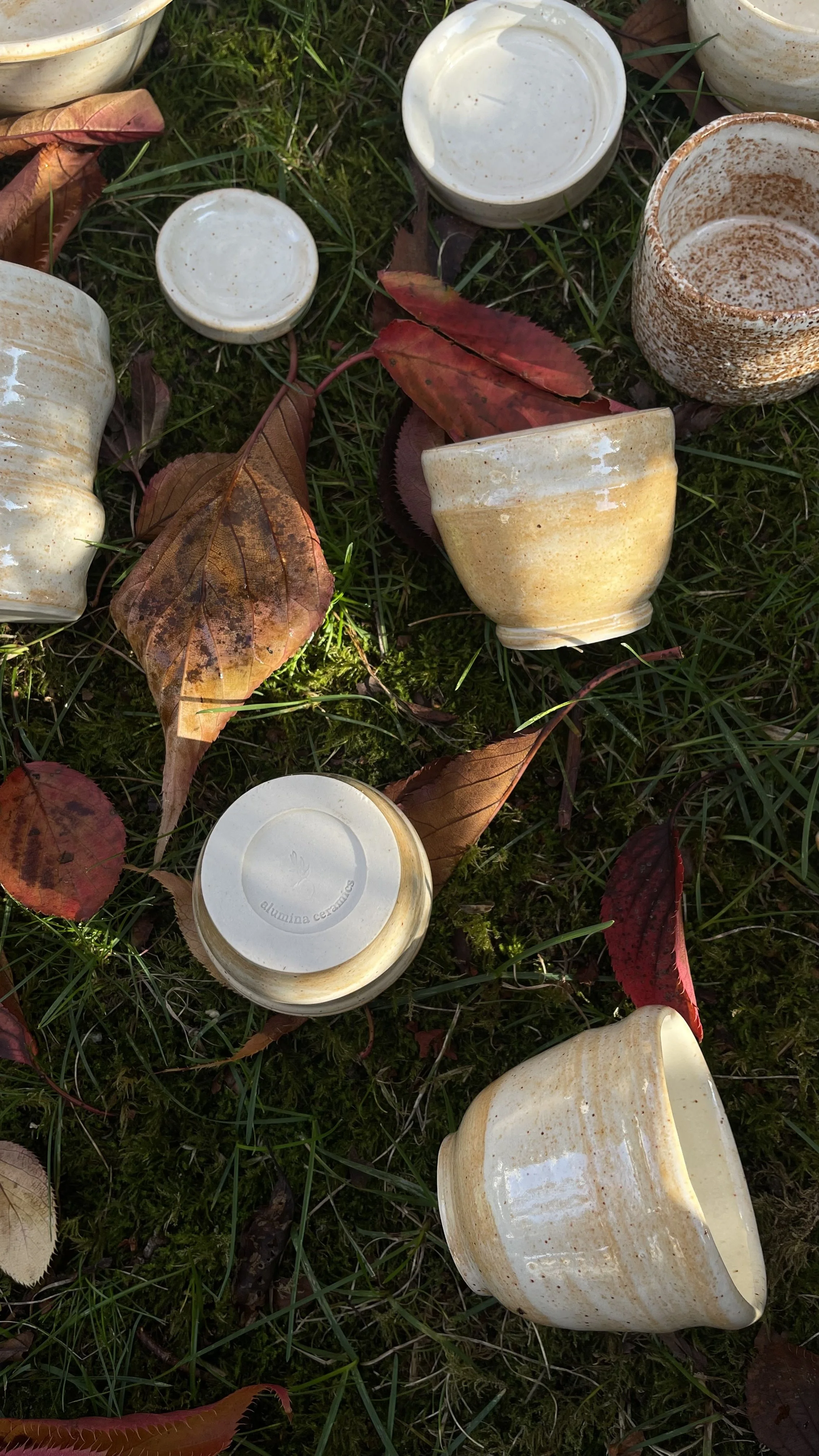 Photo 13-5-2022, 10 52 00 am.jpg