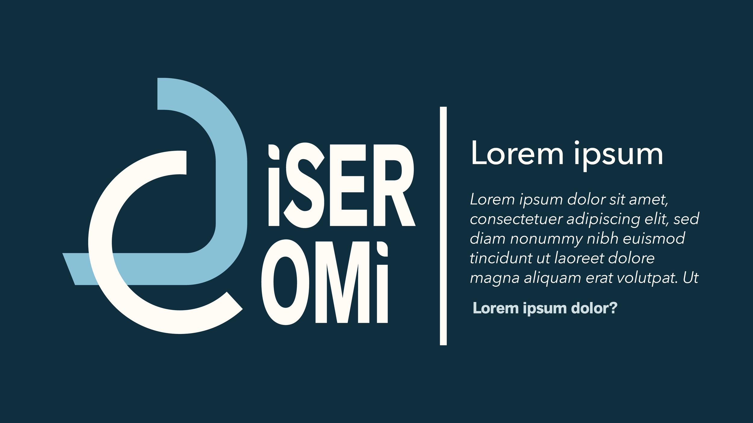 Disercomi_Mockups_Logo1_Banner.png