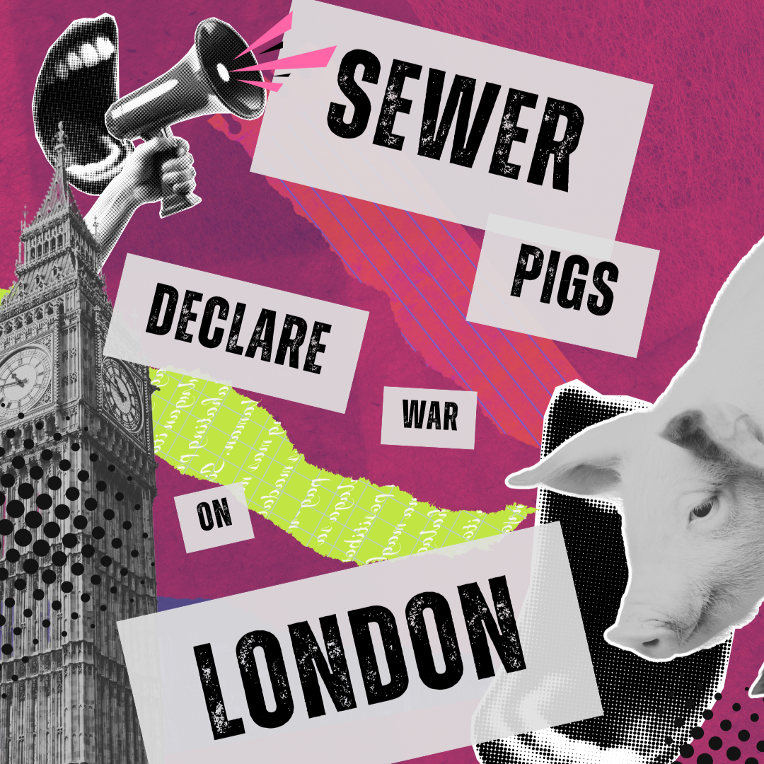 Sewer Pigs