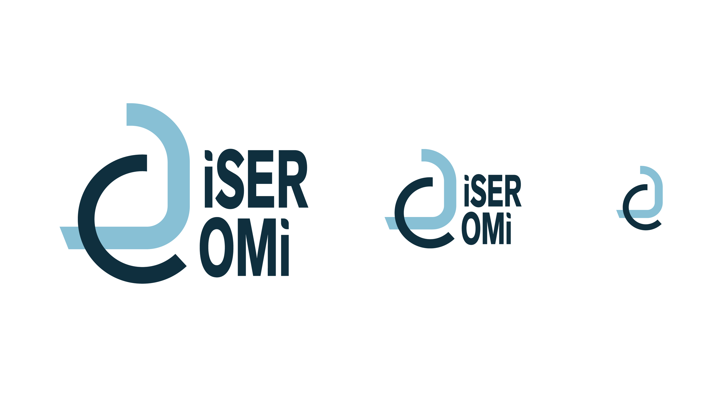 Disercomi_Mockups_Logo1_LogoSizes.png