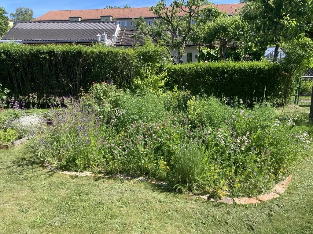 Blühfläche im Kleingarten in Berlin