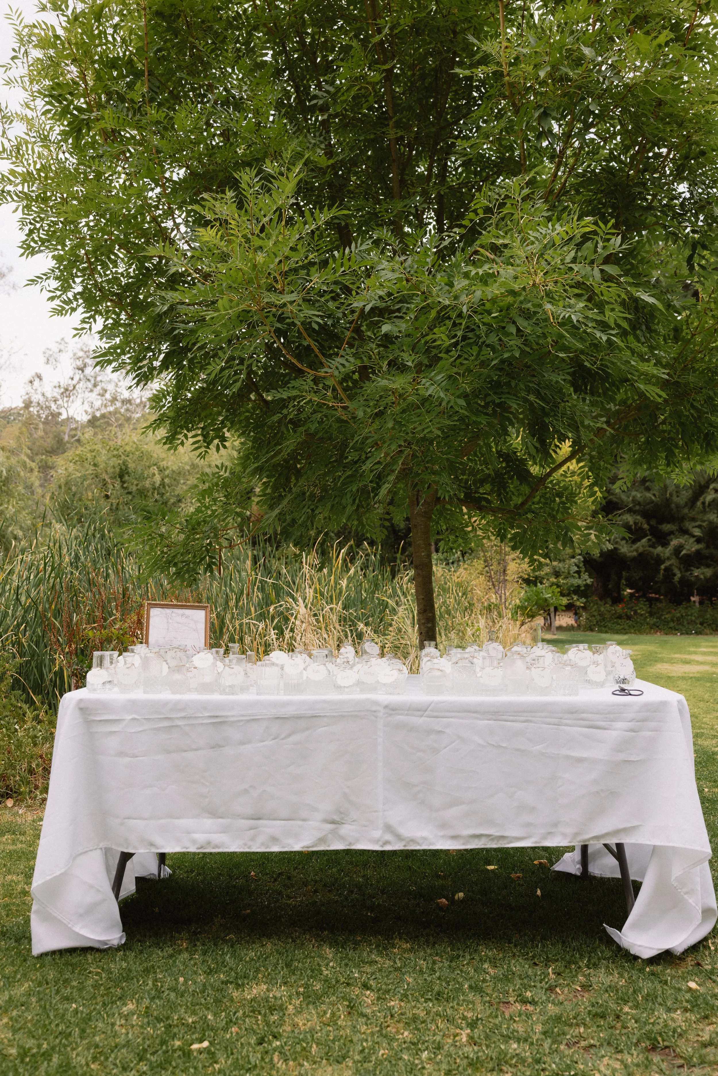 Kate and Jaxon Wedding-146.jpg