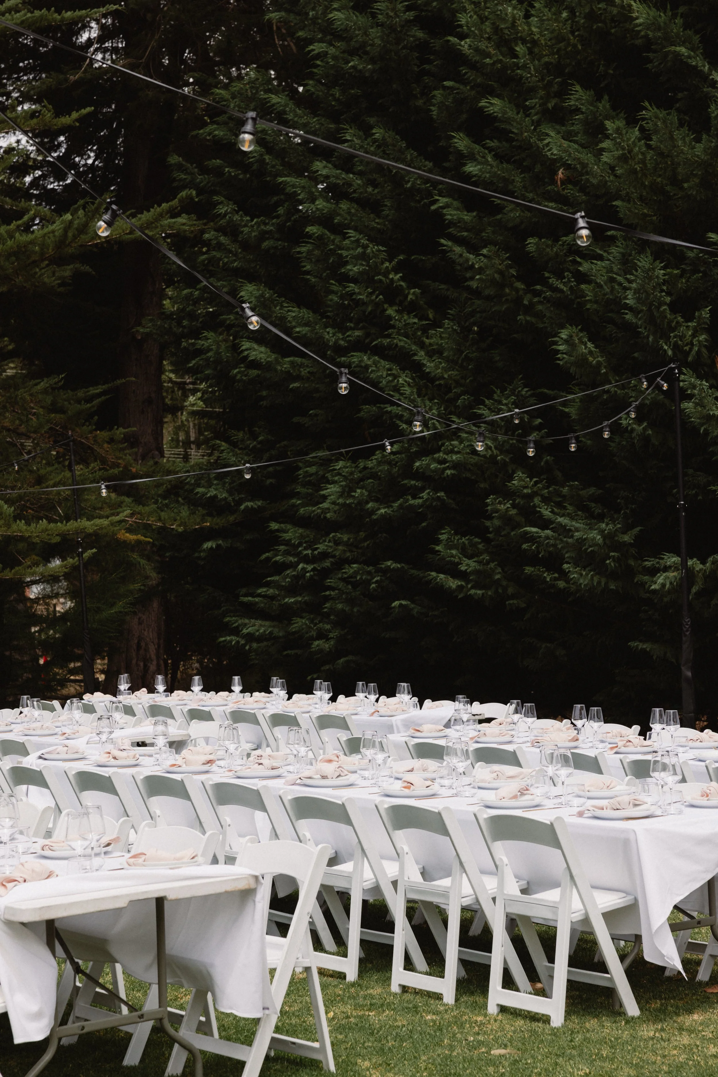 Kate and Jaxon Wedding-5.jpg