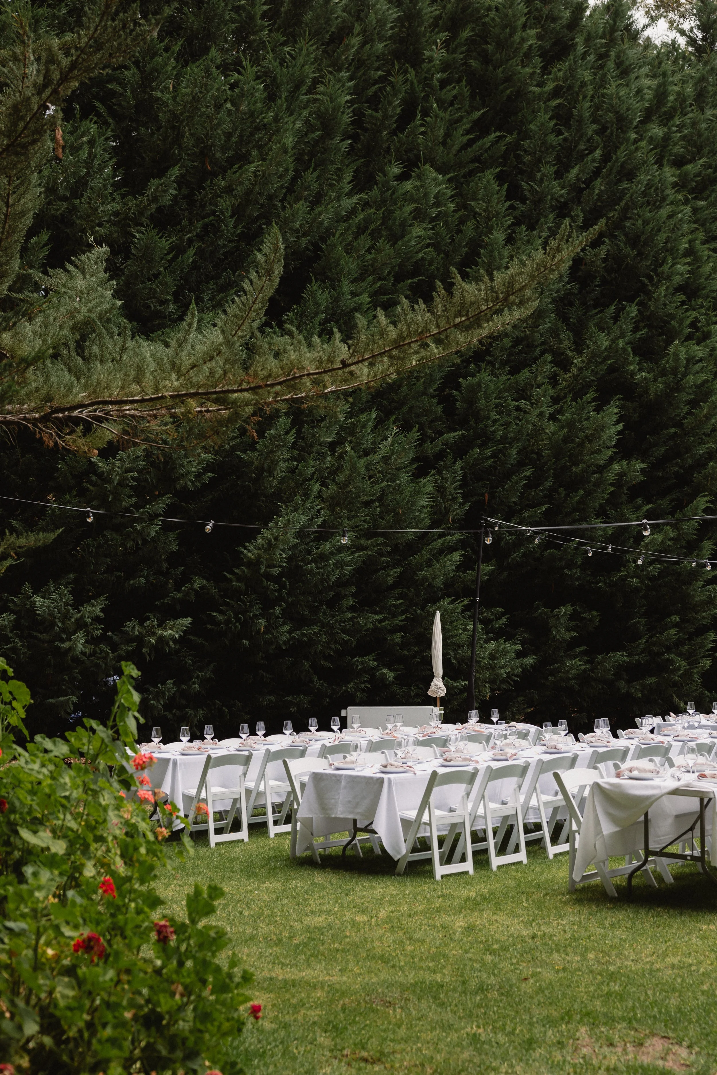 Kate and Jaxon Wedding-1.jpg