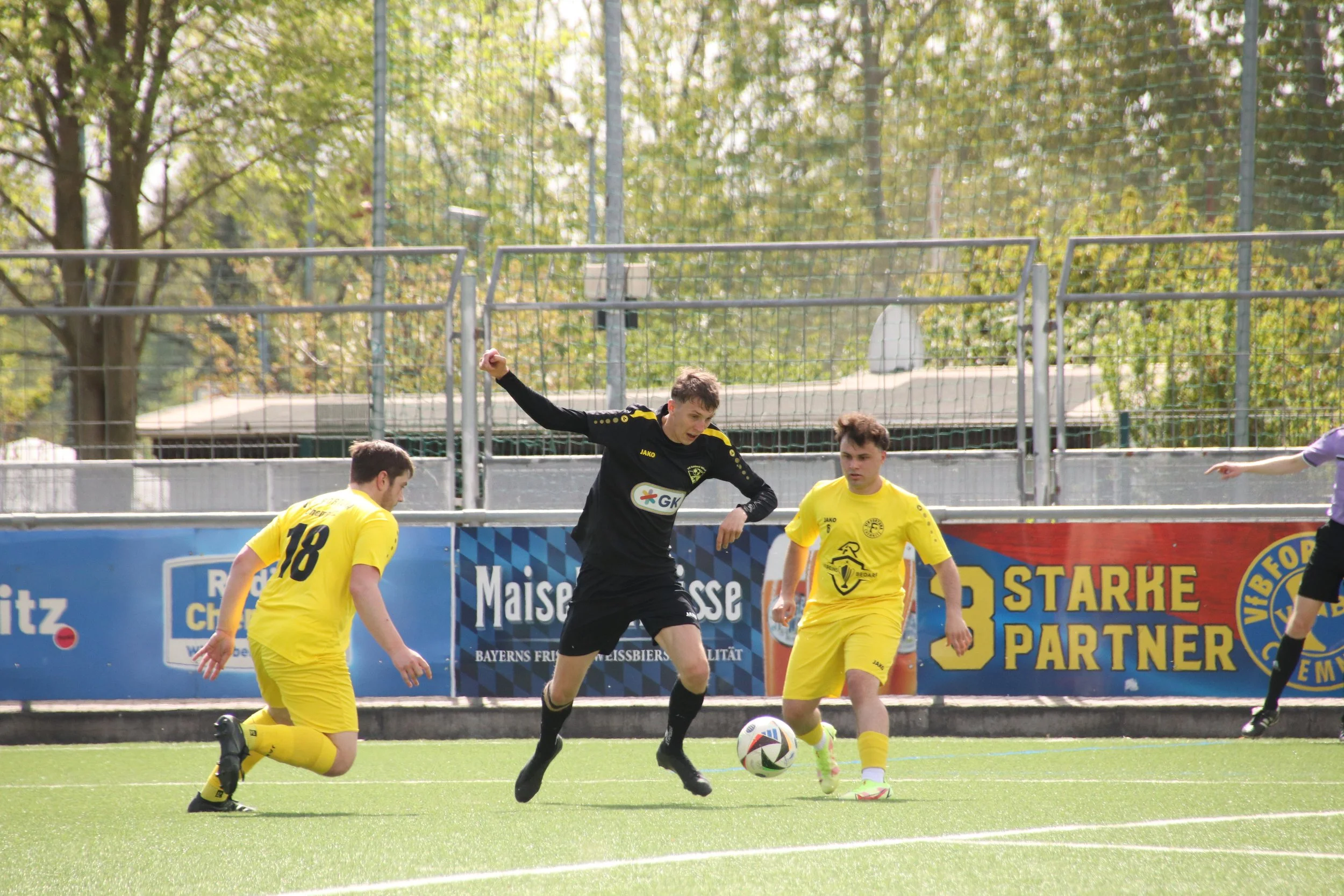 IMG_3299.JPG