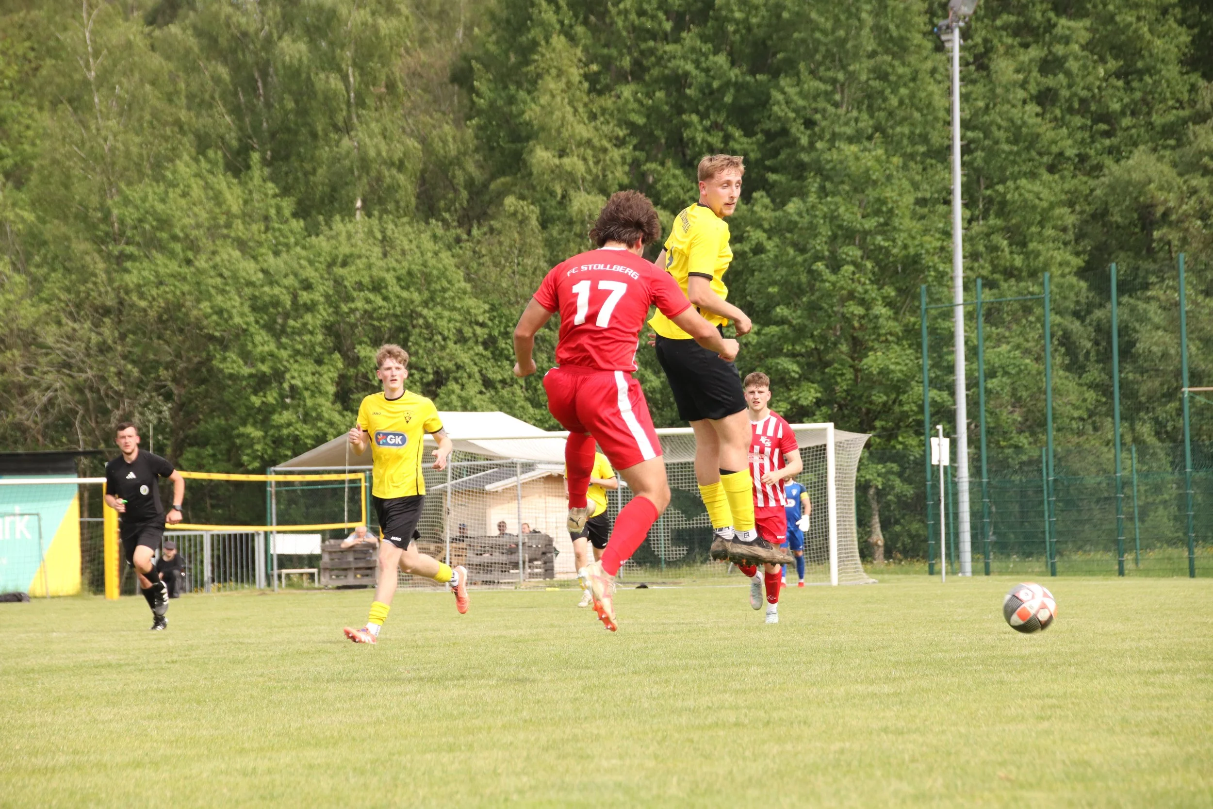 IMG_4793.JPG