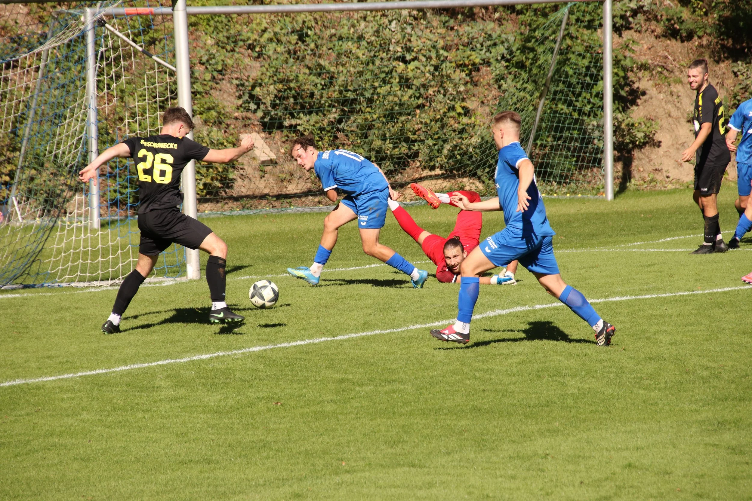 IMG_8891.JPG