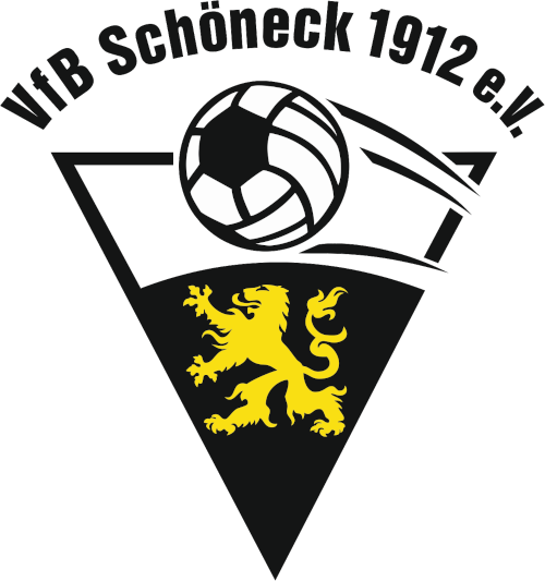 VfB Schöneck