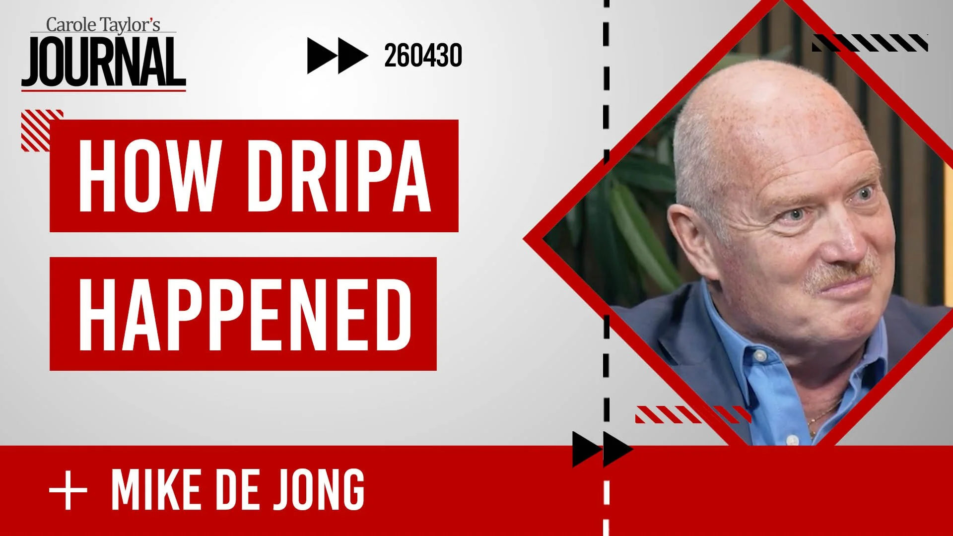 How DRIPA Happened
