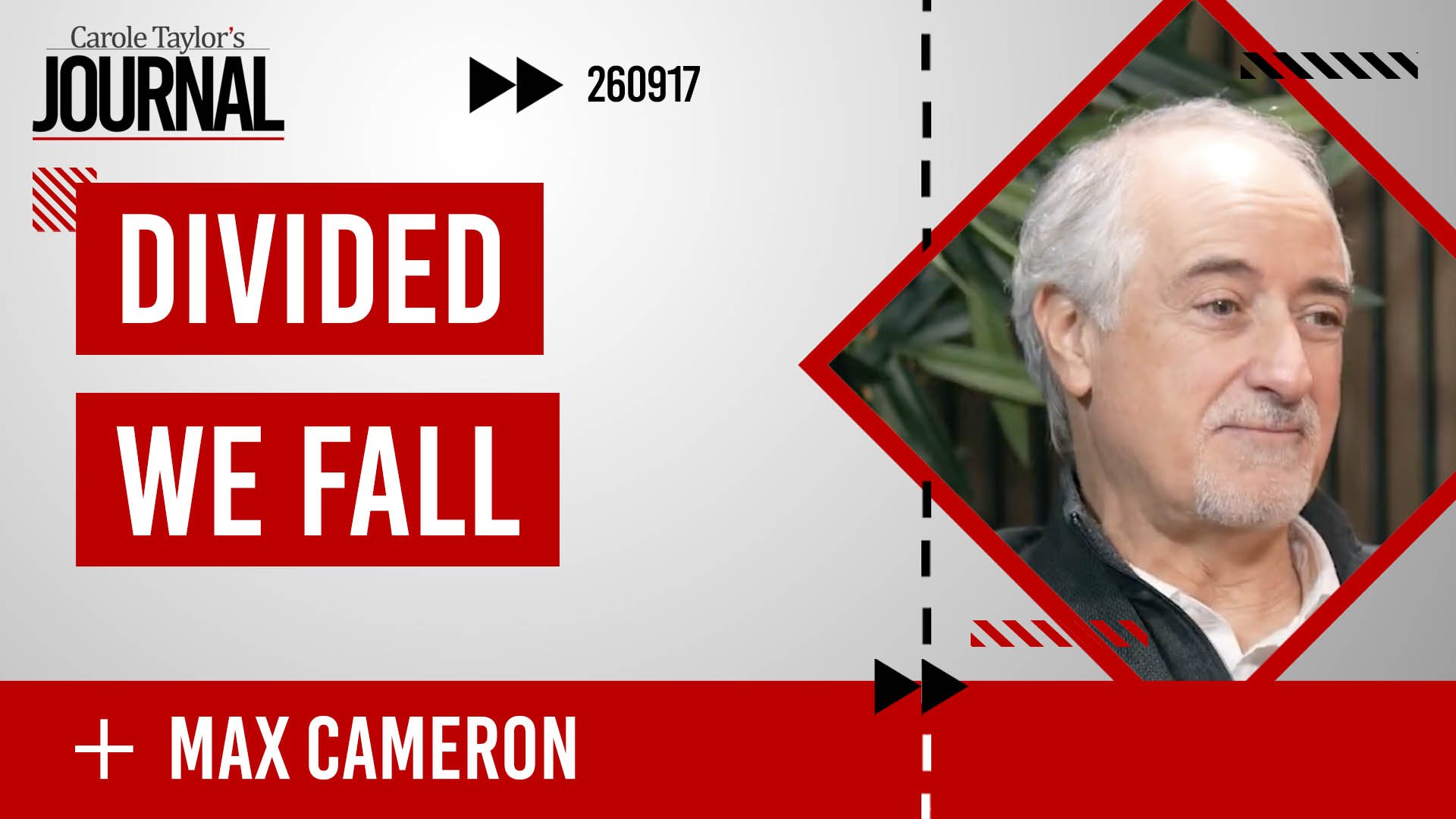 Divided We Fall