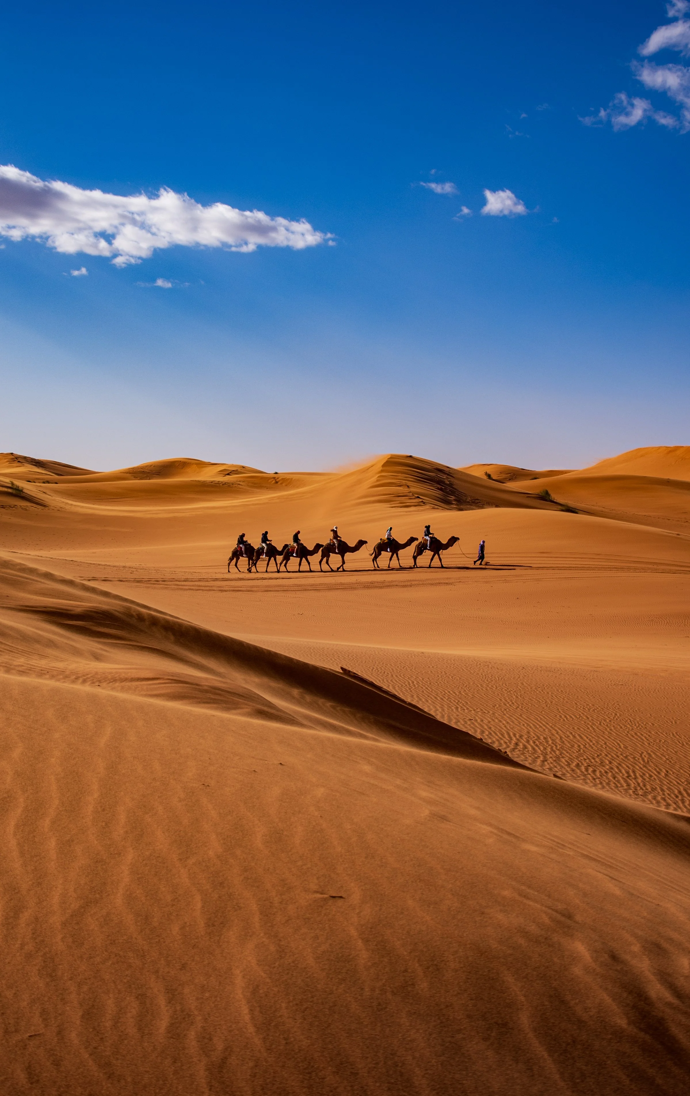 camel movie poster.jpg