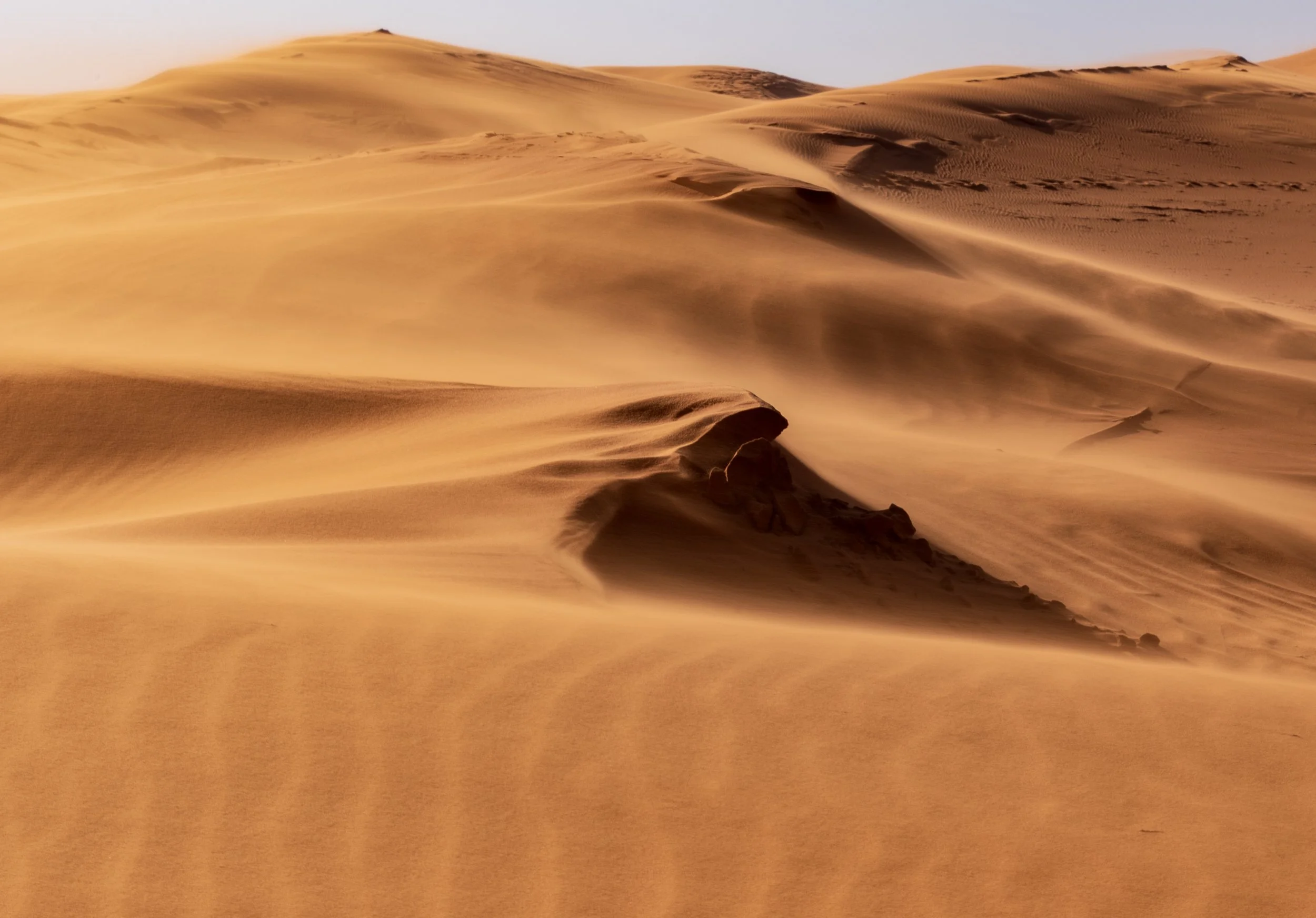 Dune Landscape.jpg