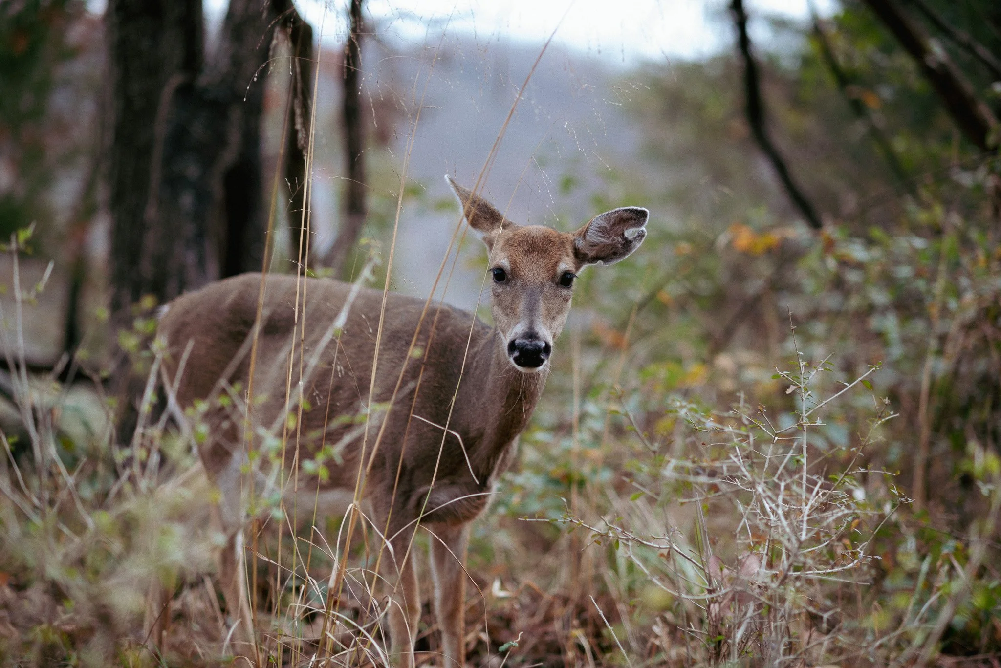 DSC_5143.jpg
