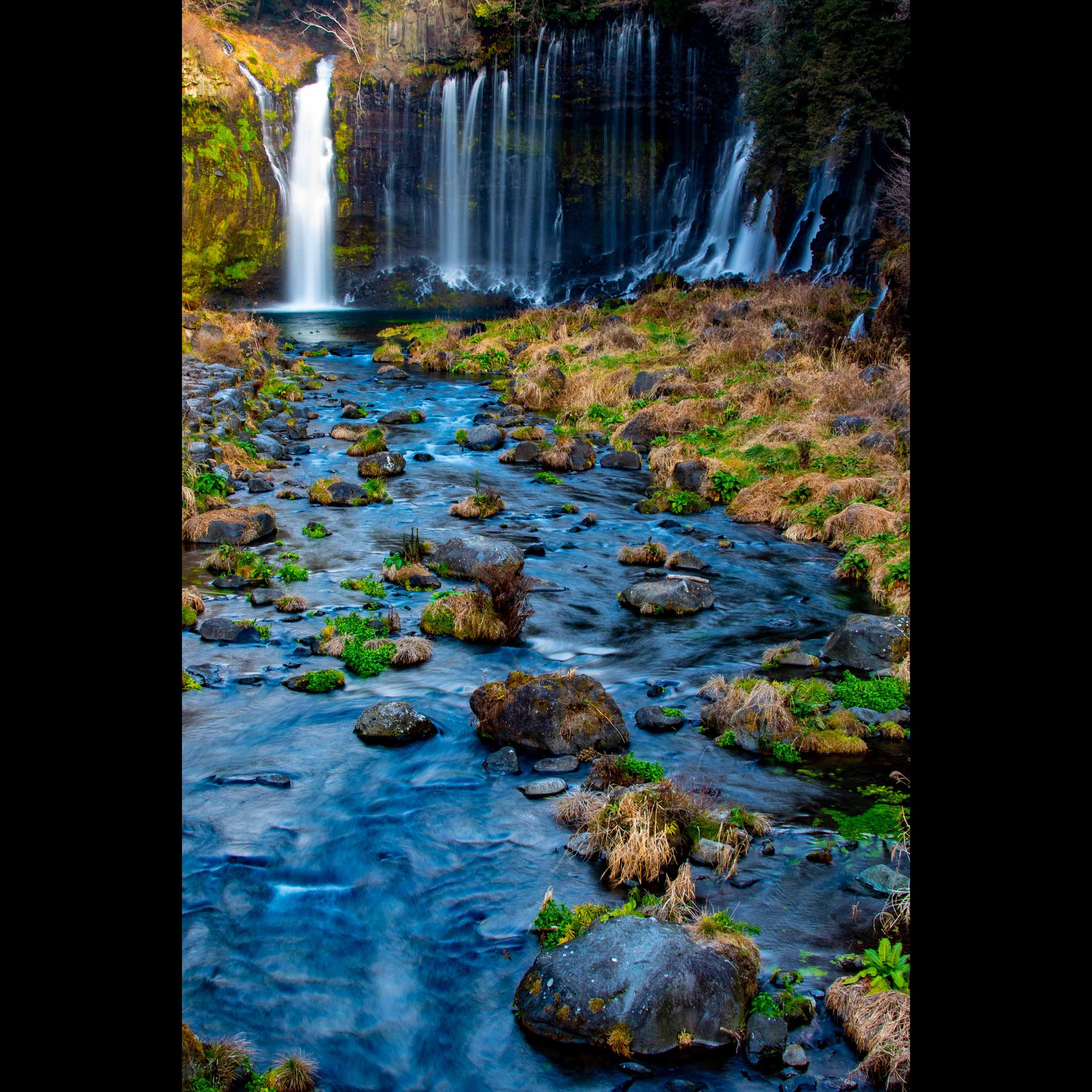 Falls Thumbnail.jpg