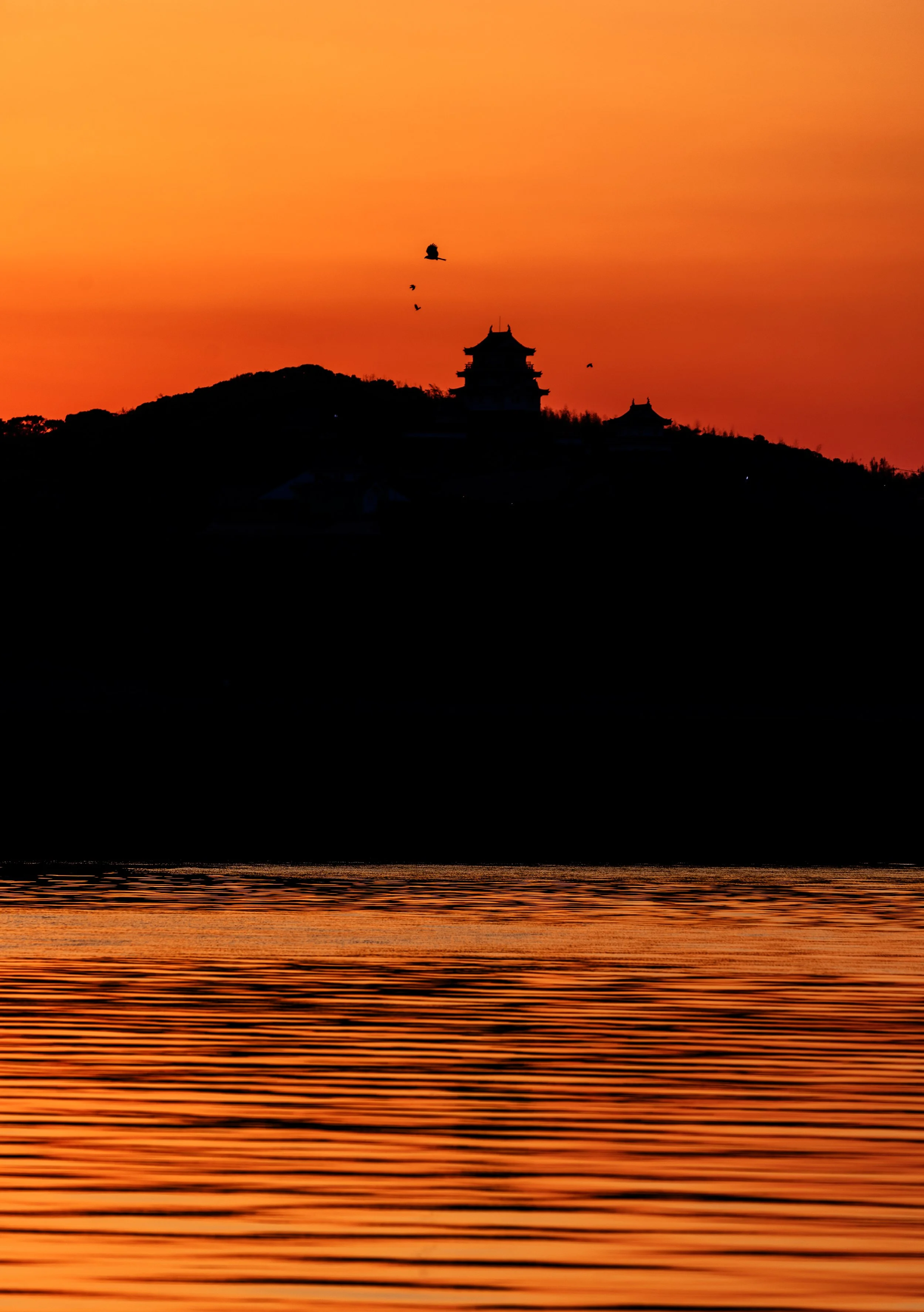DSC_9762 copy.jpg