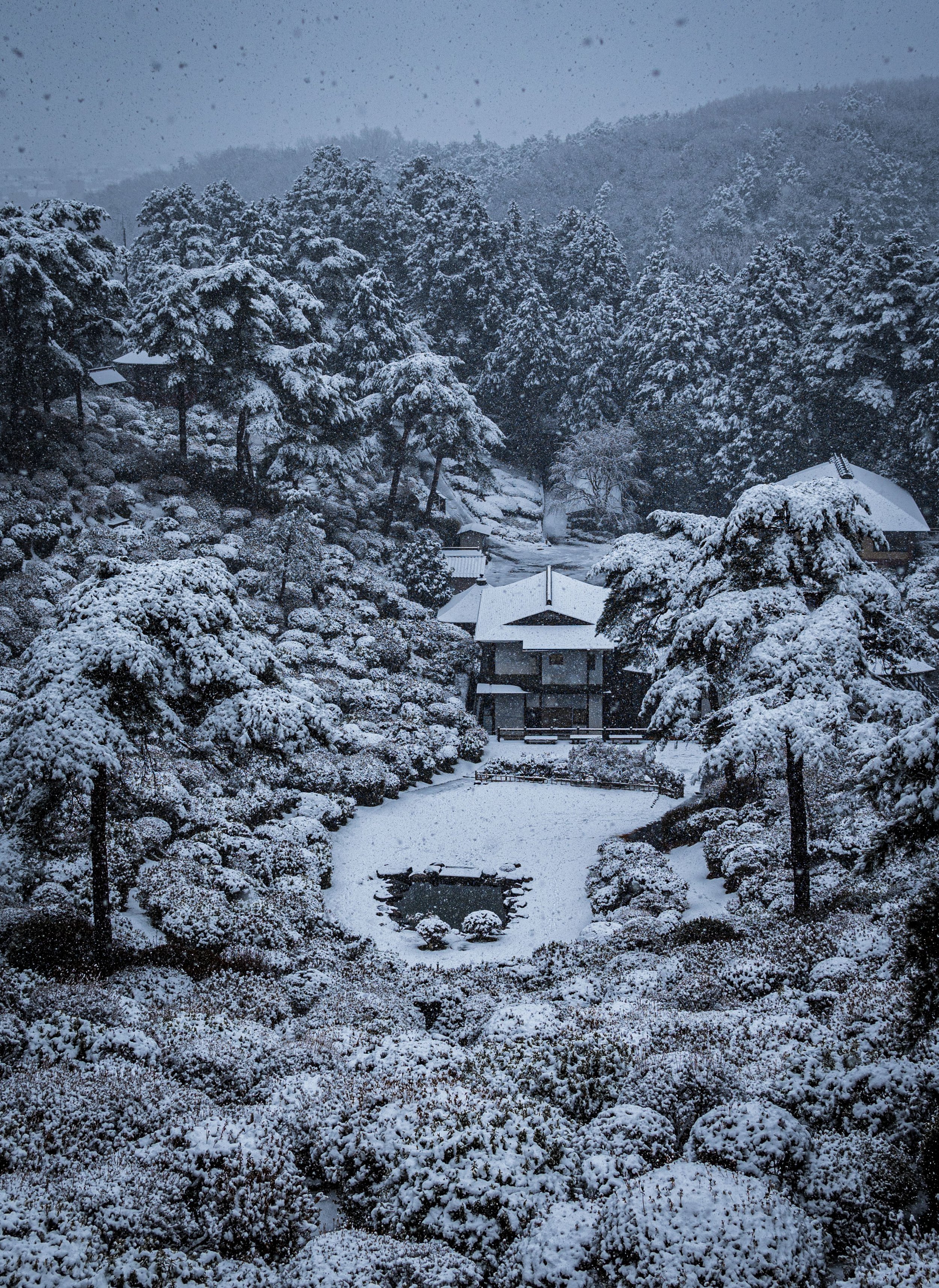 Snowfall.jpg