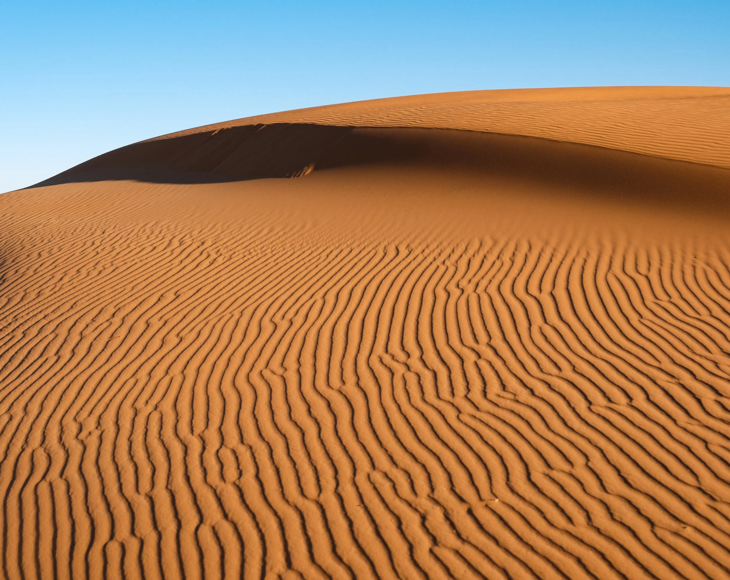 kewl desert.jpg