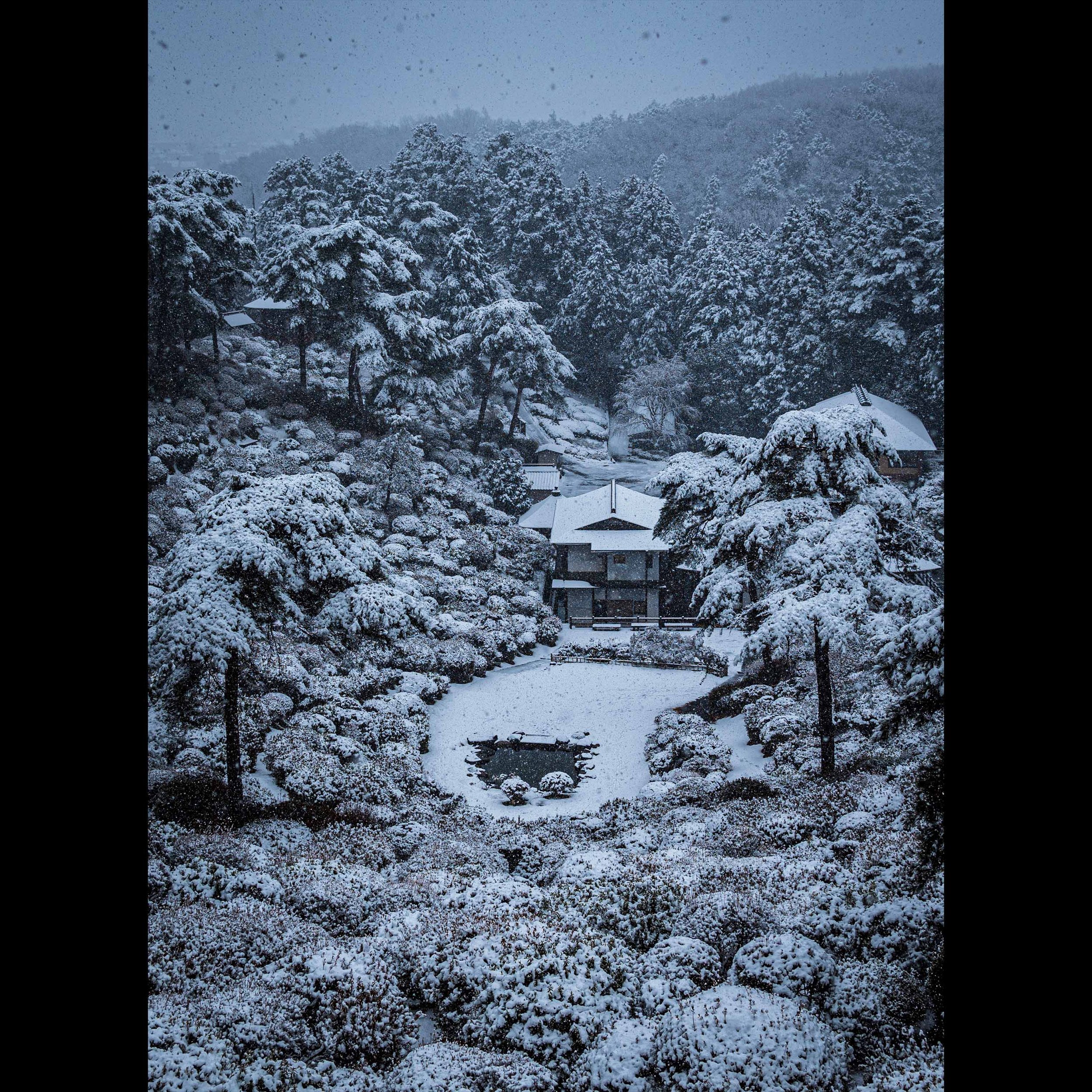 Snowfall Thumbnail.jpg