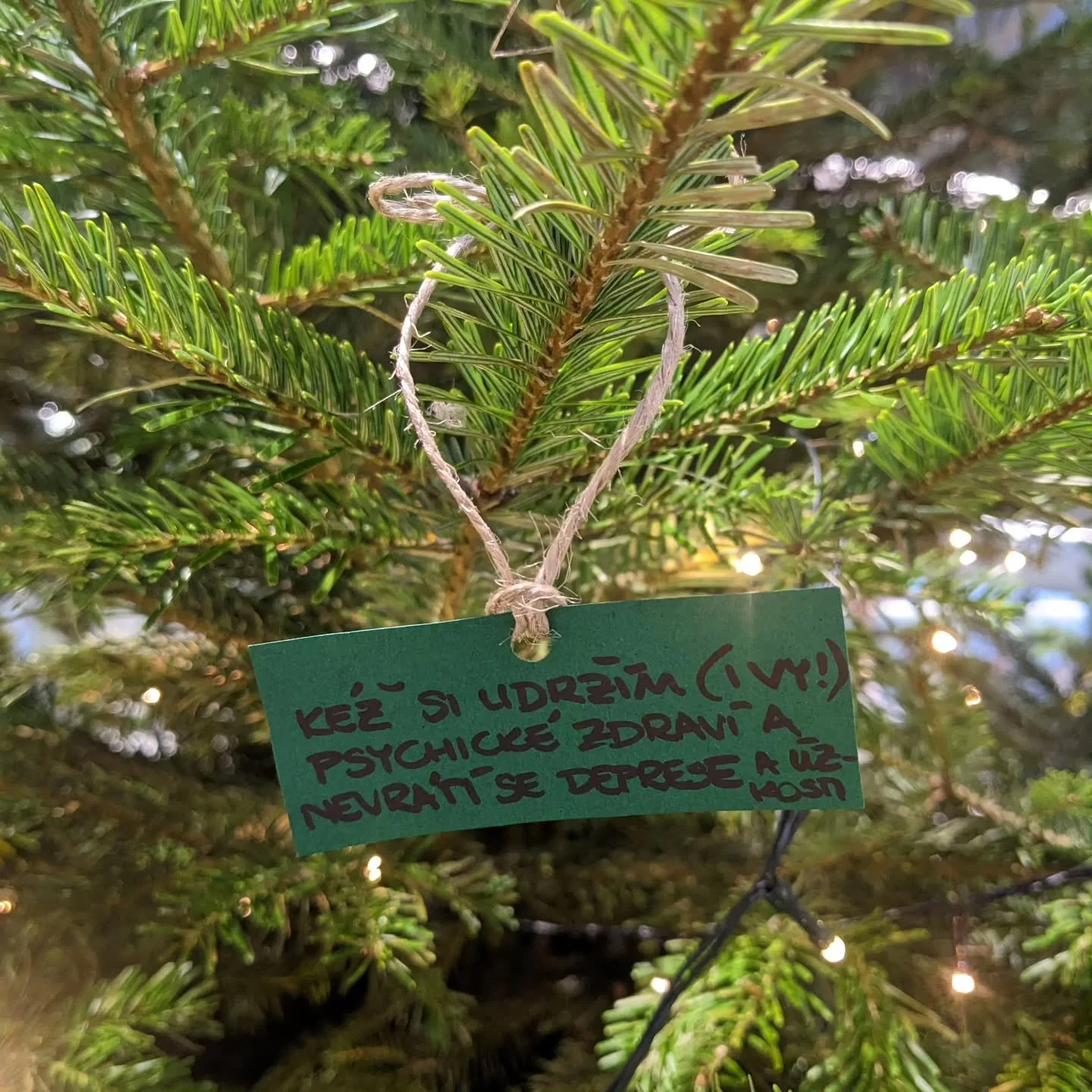 Konec roku někter&eacute; z n&aacute;s t&aacute;hne k zamy&scaron;len&iacute;, co se n&aacute;m za uplynul&yacute; čas podařilo, co naopak ne, z čeho m&aacute;me radost, co bylo těžk&eacute;. Na fotce je strom př&aacute;n&iacute; na jedn&eacute; praž