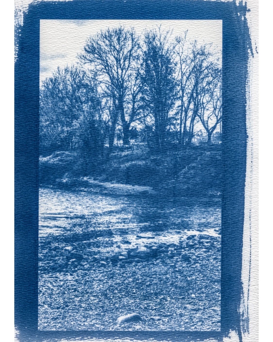 Printing without a darkroom - addictive #cyanotypes