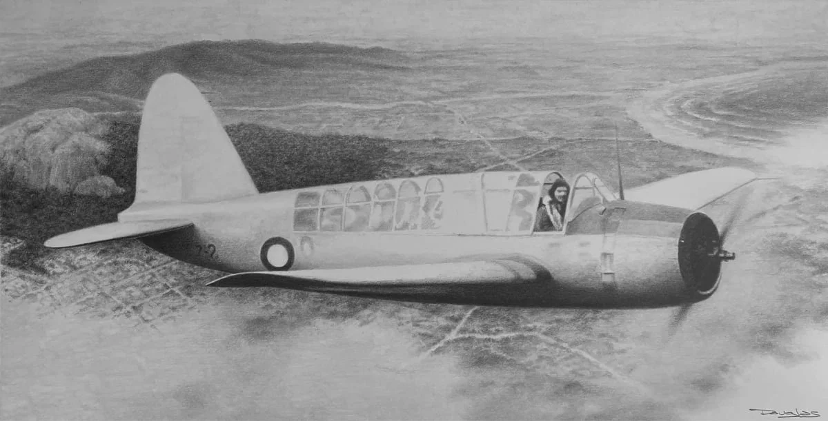 "Flight Over Dundowran' - Graphite - Commission (QLD)