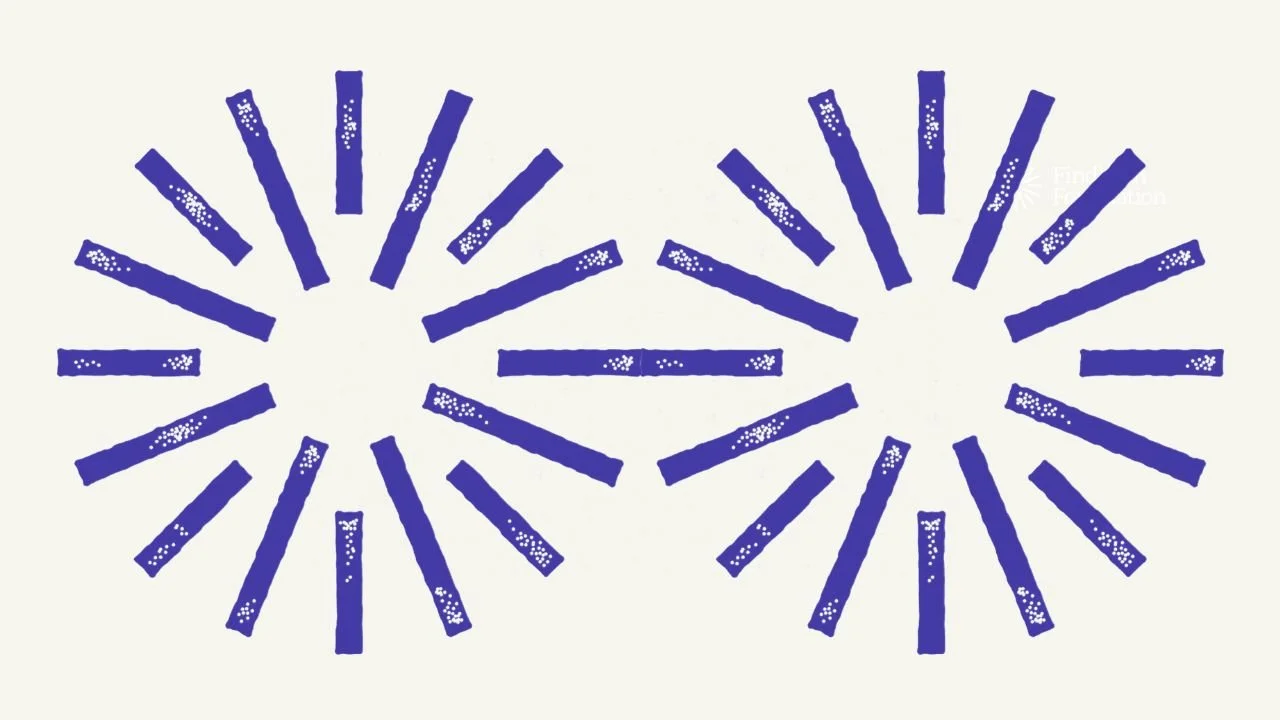 Feeling Confused About Findhorn Foundation?