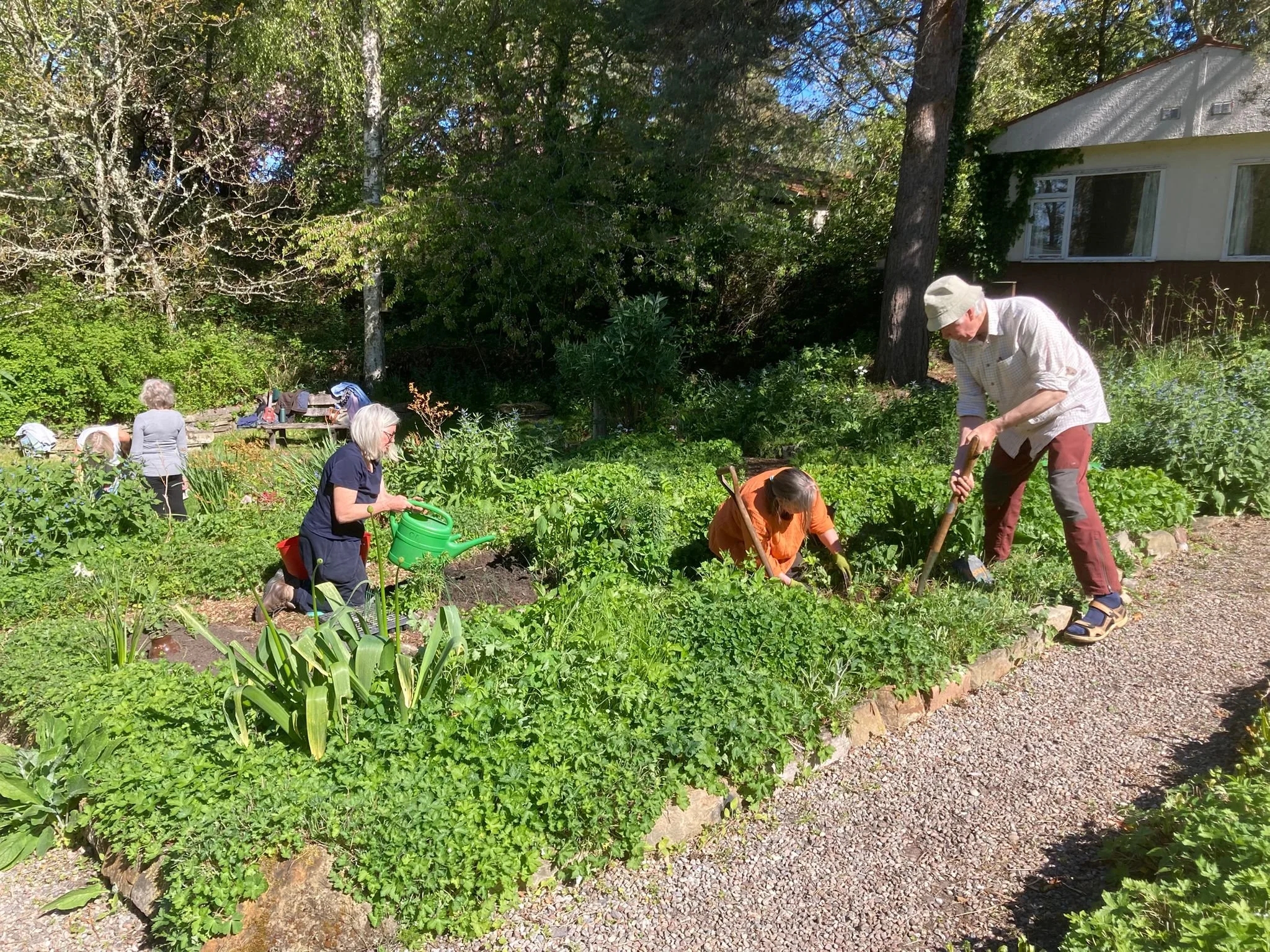 Original Garden digging guests FX participants April 2026.jpeg