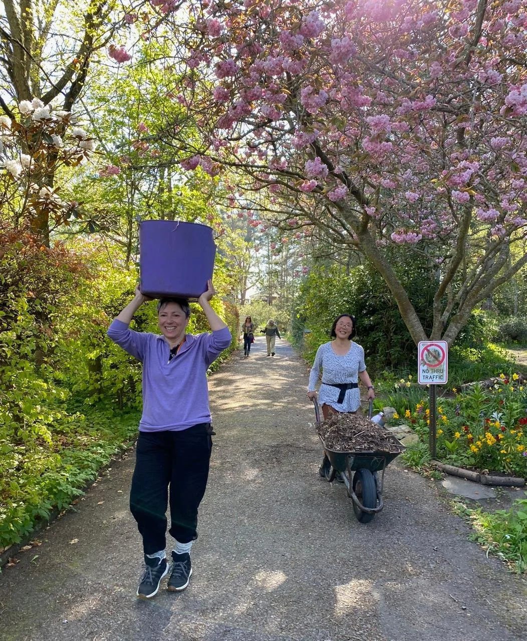 Yuko guest FX April 2026 wheelbarrow blossom tree park garden.jpeg