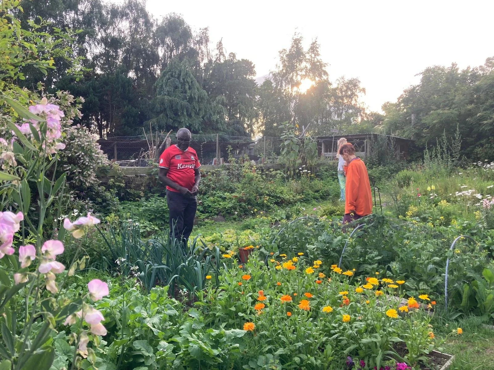 Garden Week Flora Voice of Nature.jpeg