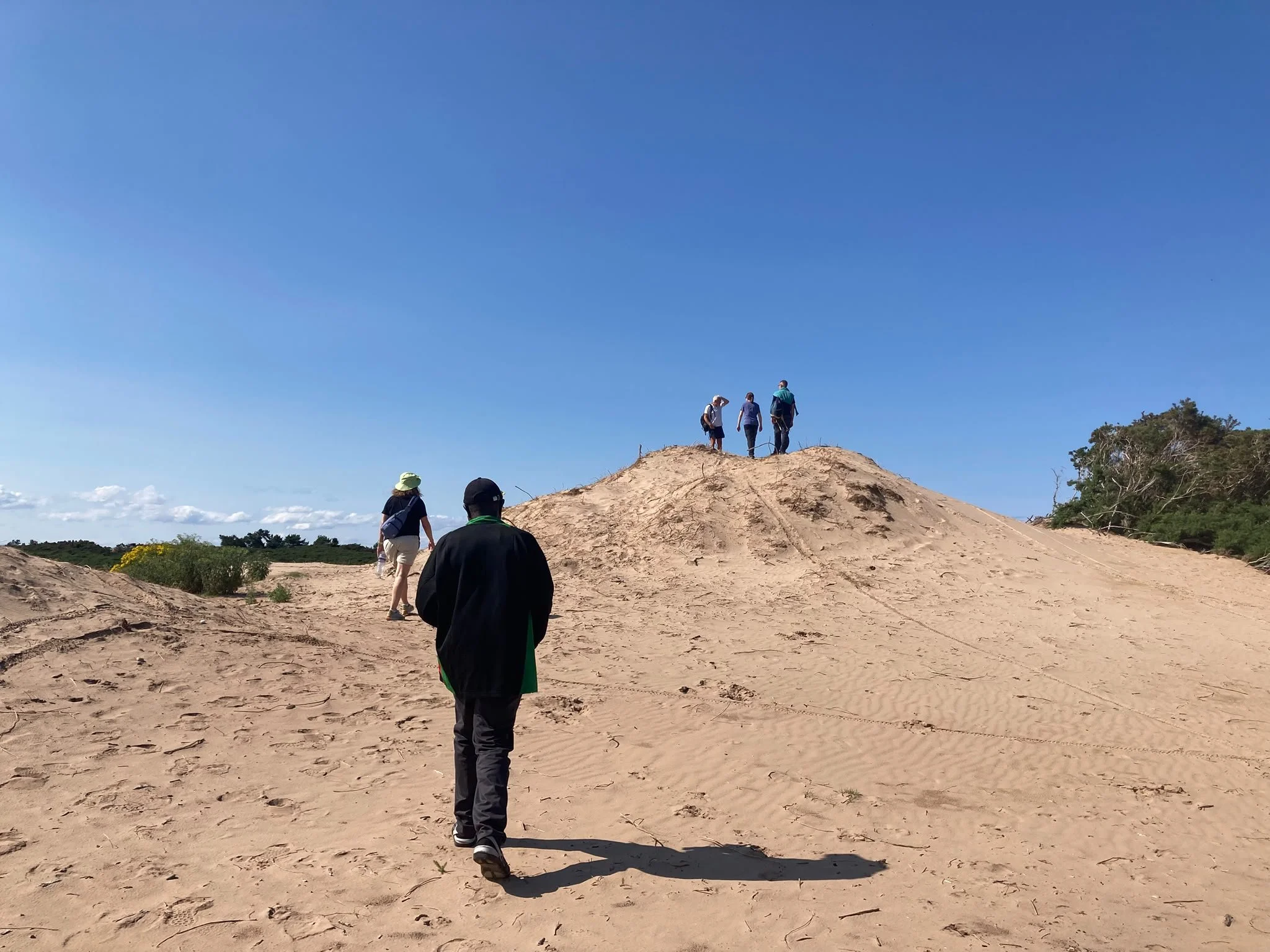 Garden Week dunes Jonathan.jpeg