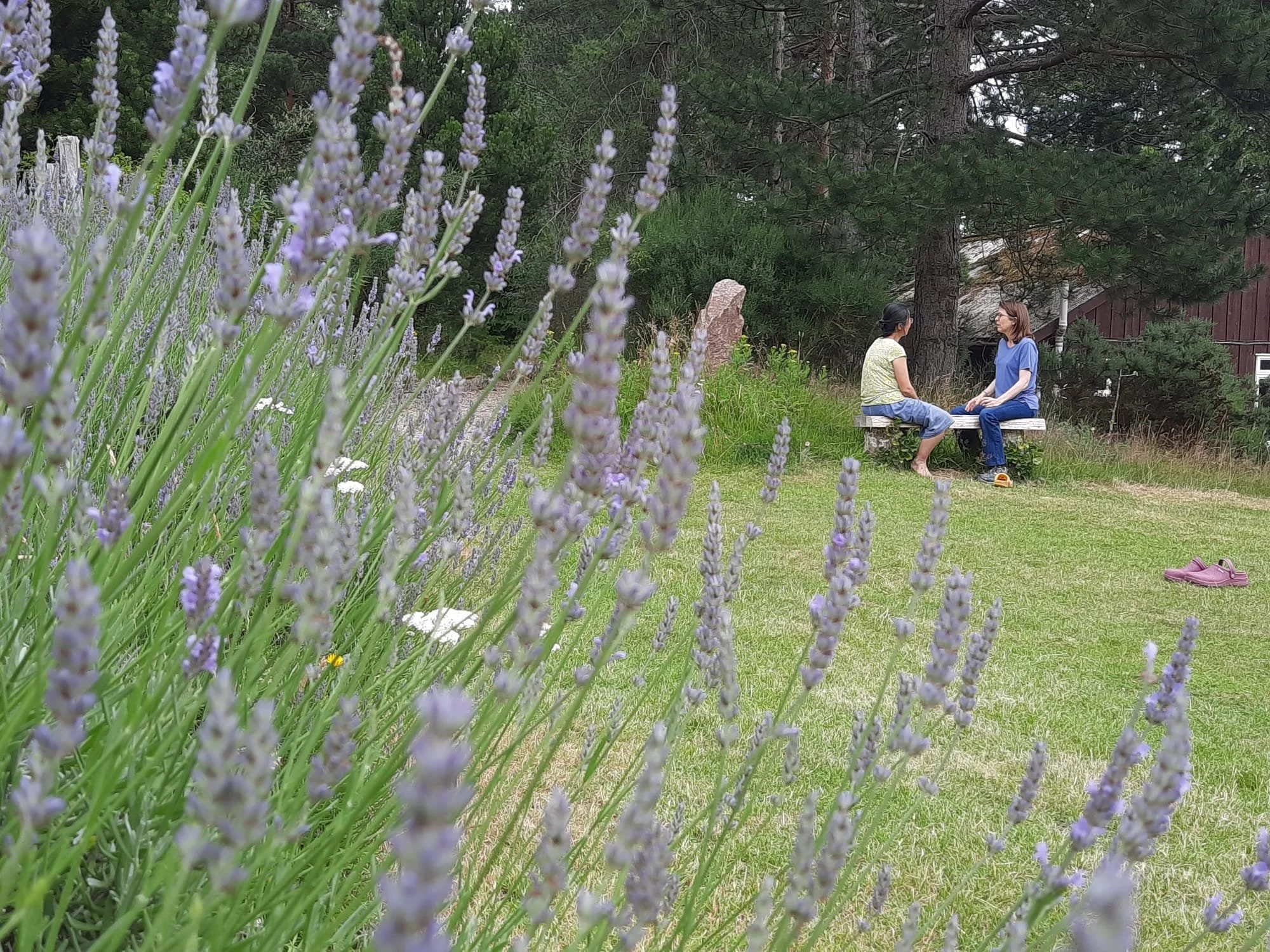 Garden Week next steps 4.jpeg