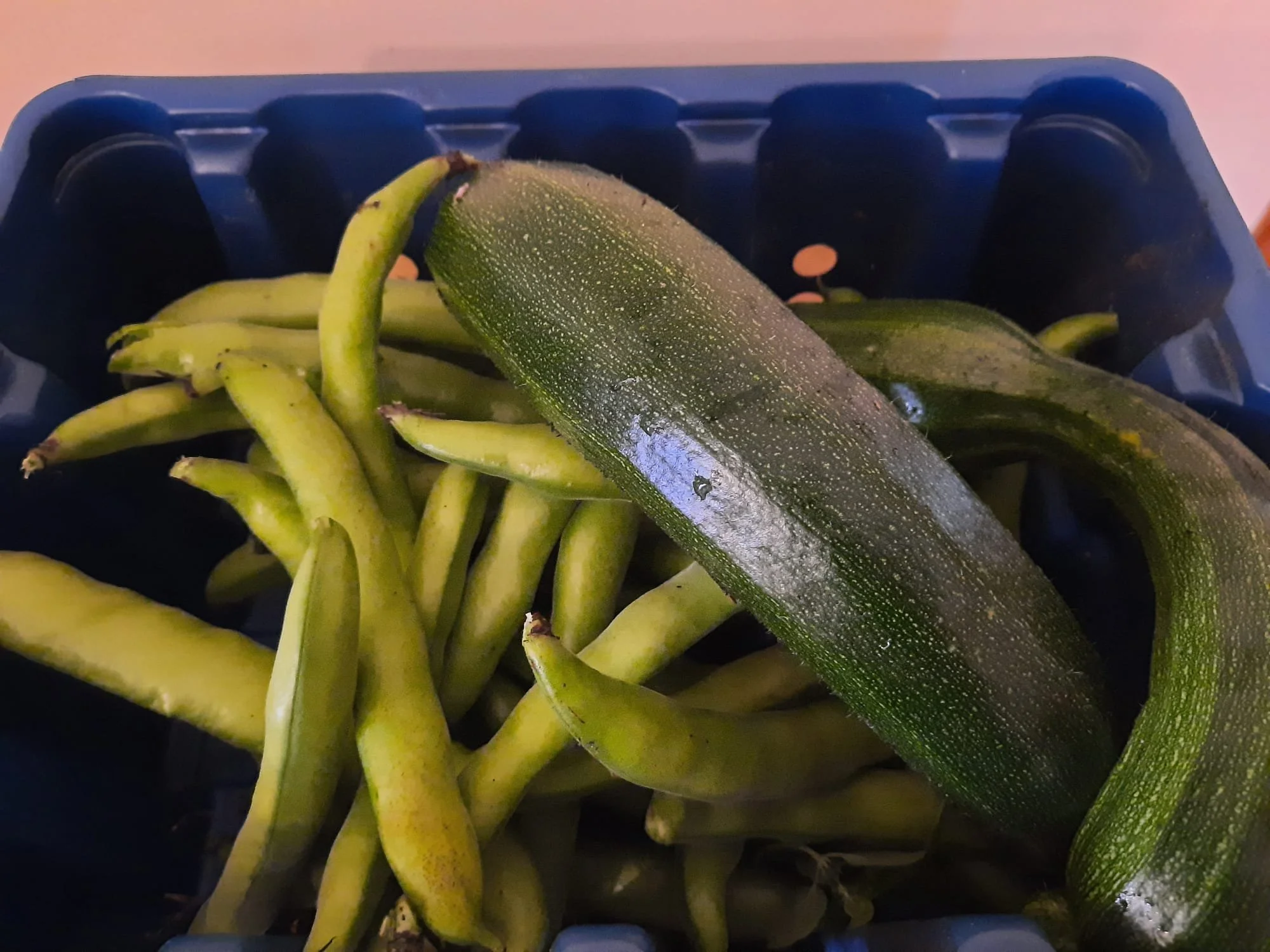 Garden week beans courgettes meals.jpeg