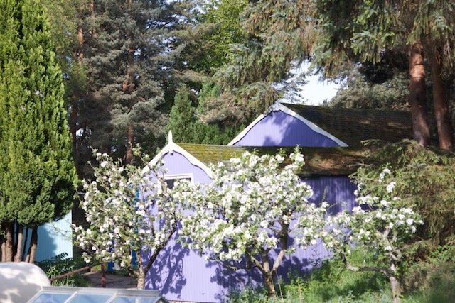 Main Sanctuary later in purple.jpeg