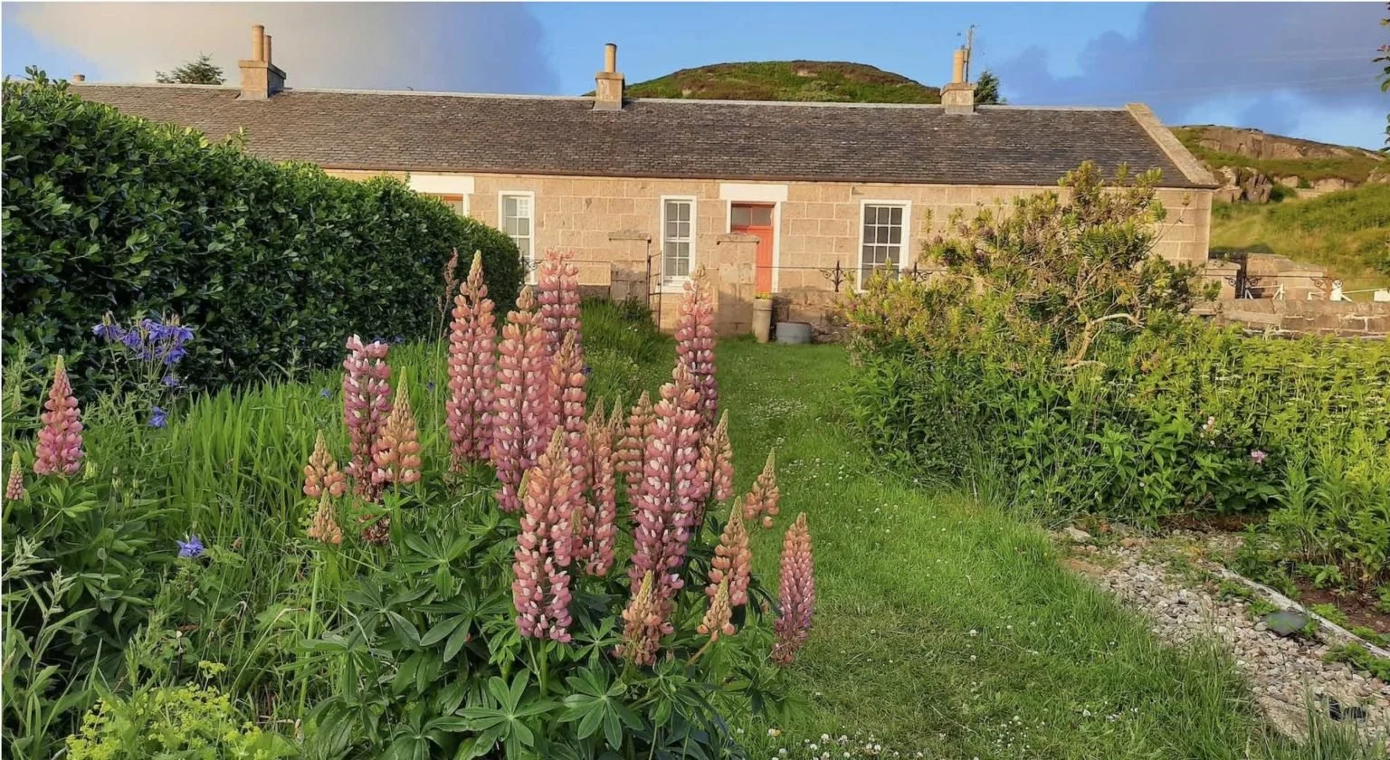 Erraid cottages.jpg