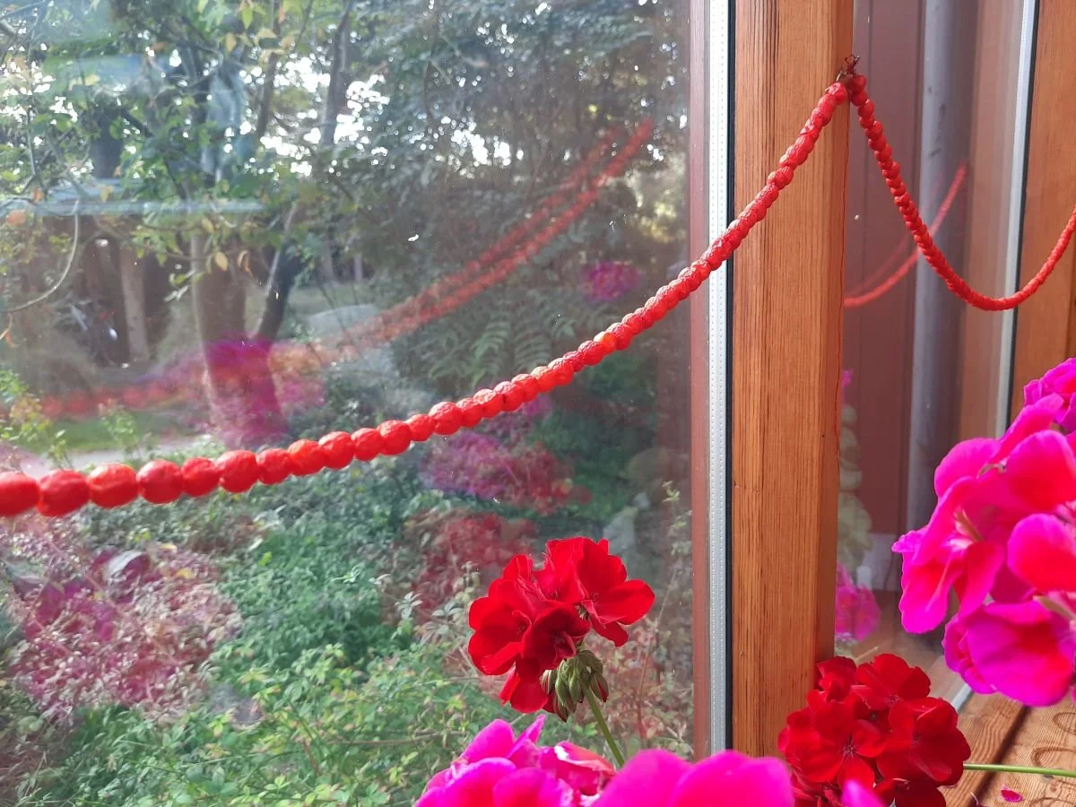 rowan strings of gratitude 2026 resized.jpg