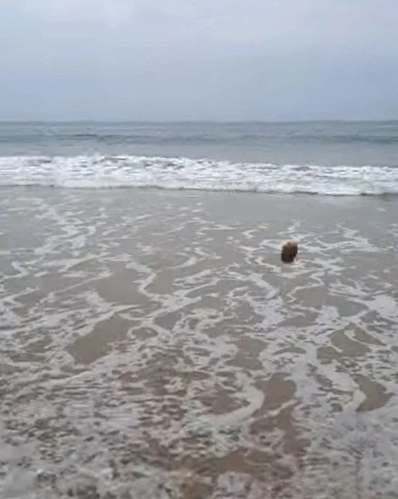 Pebble 3 Findhorn Beach throw.jpg