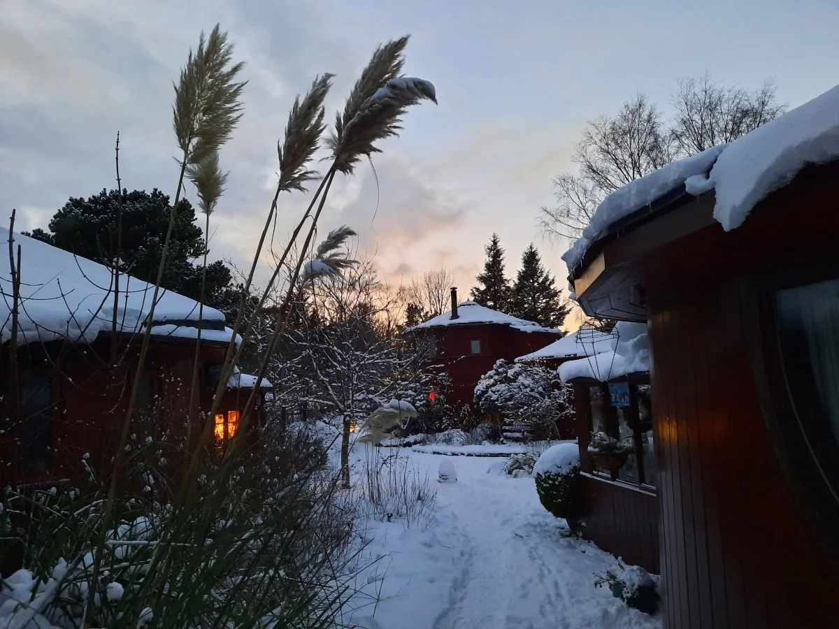 barrels snow winter.jpg
