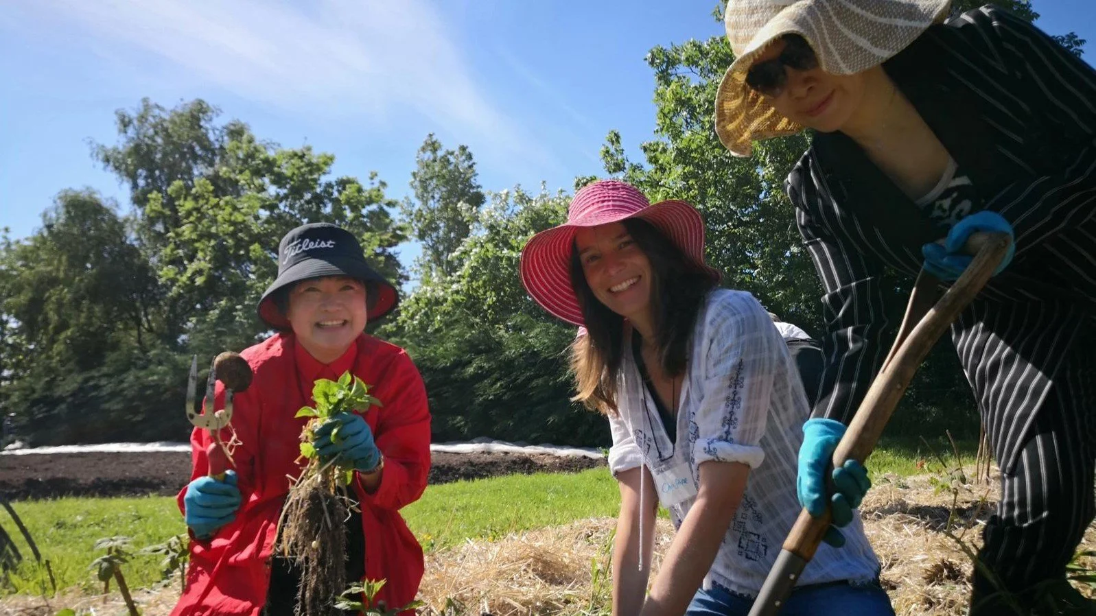 What Does ‘The Findhorn Garden’ Offer?&nbsp;
