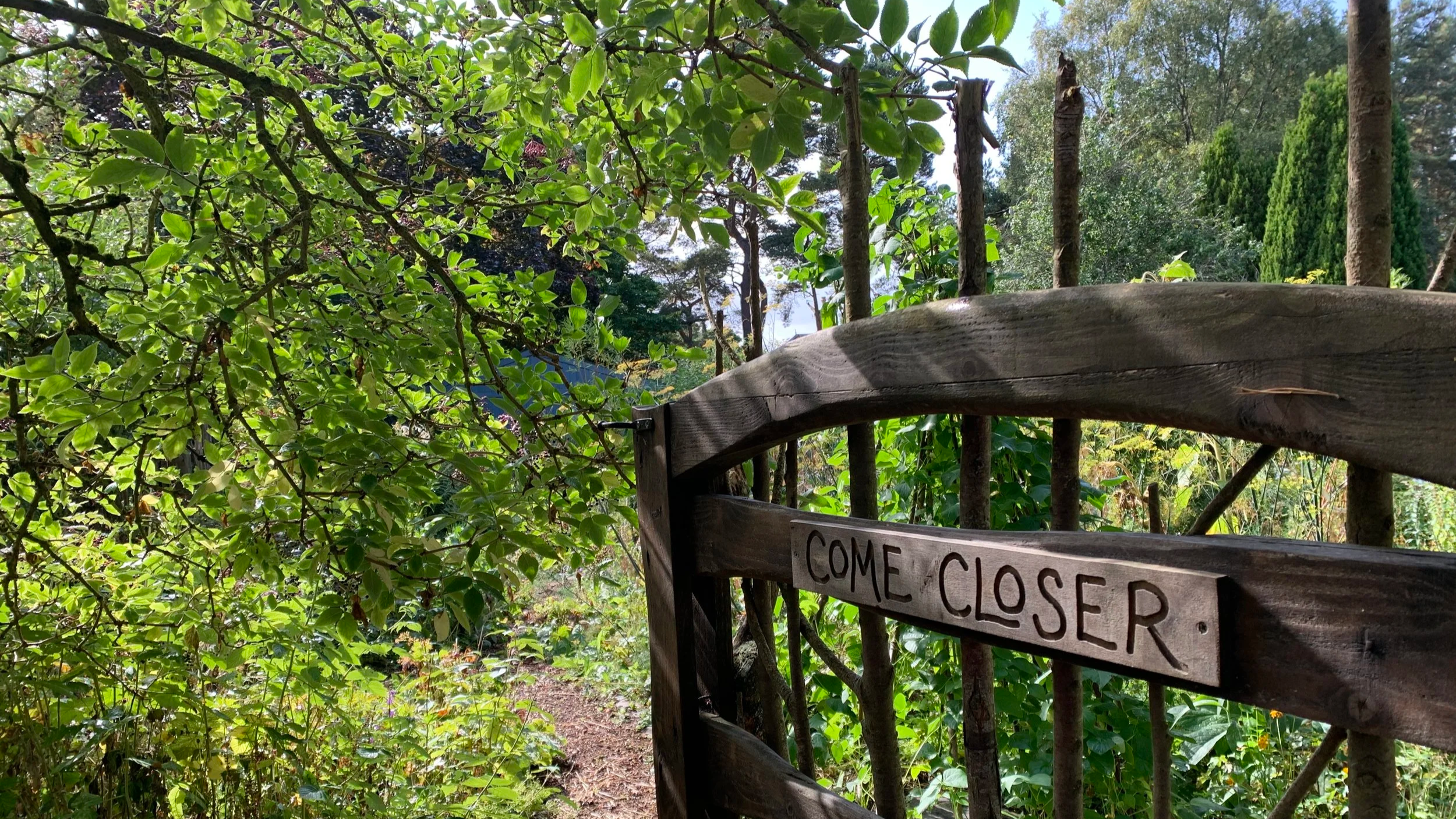 From Experience Week to Findhorn Experience Week: From I to We