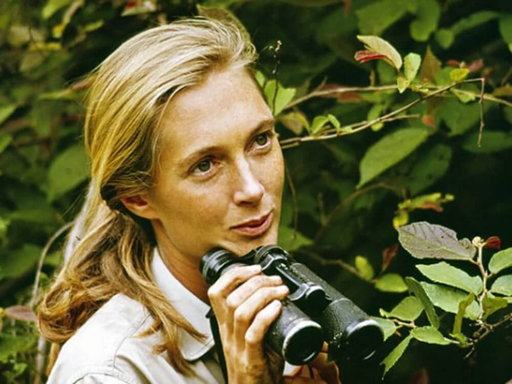 Jane Goodall’s Feminist Legacy Lives On