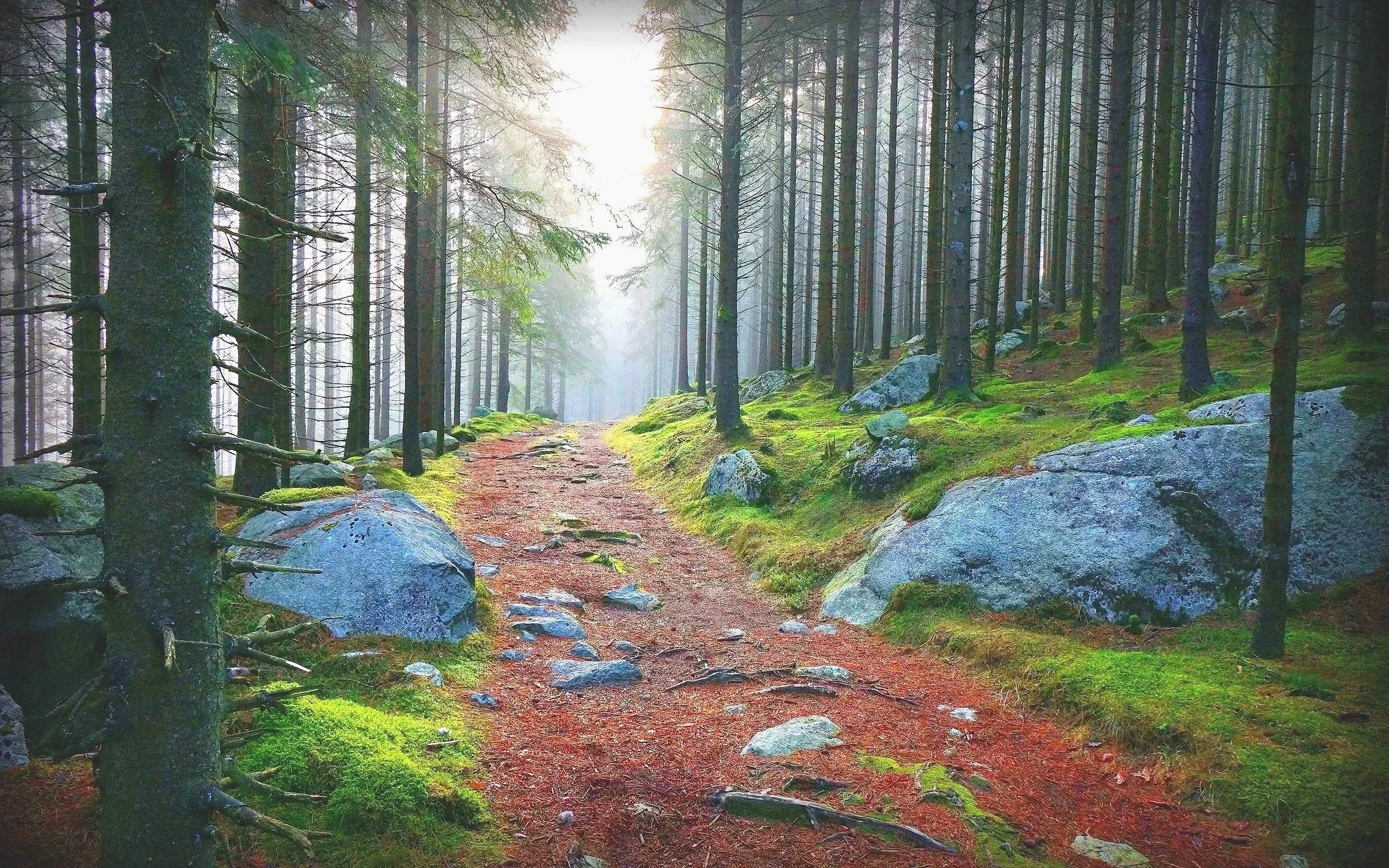 trauma, ptsd, anxiety, telehealth