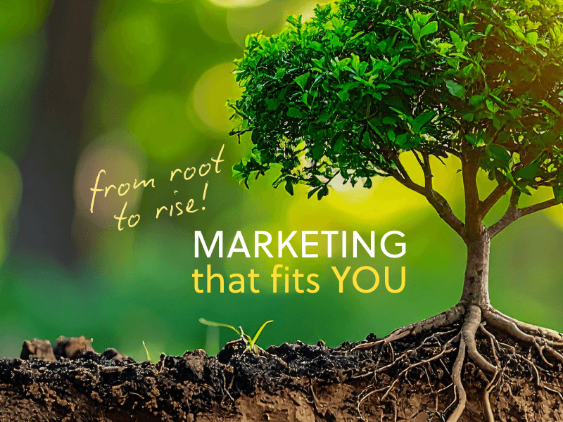 Marketing Support That Fits Your Business (and Your Budget)