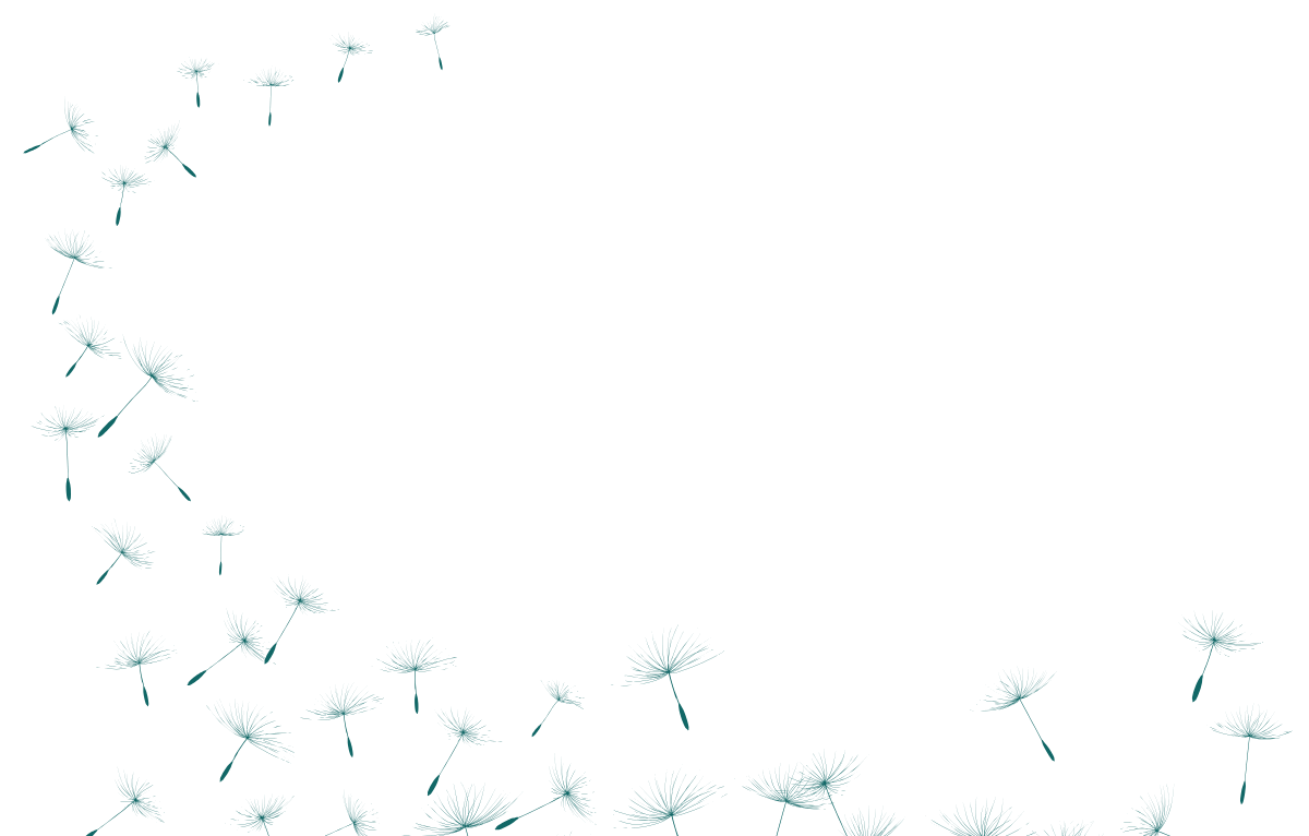 Dandelion Seeds scattered