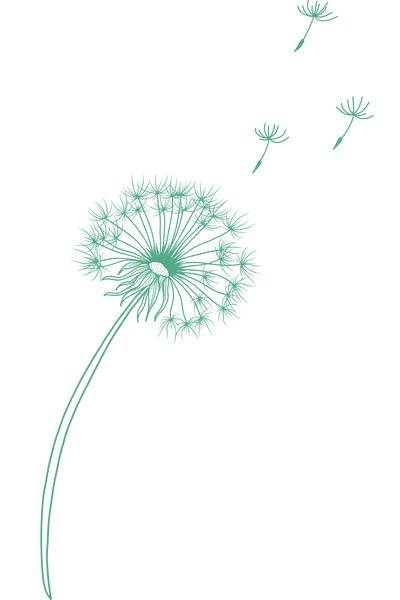 Dandelion Seeds blowing away